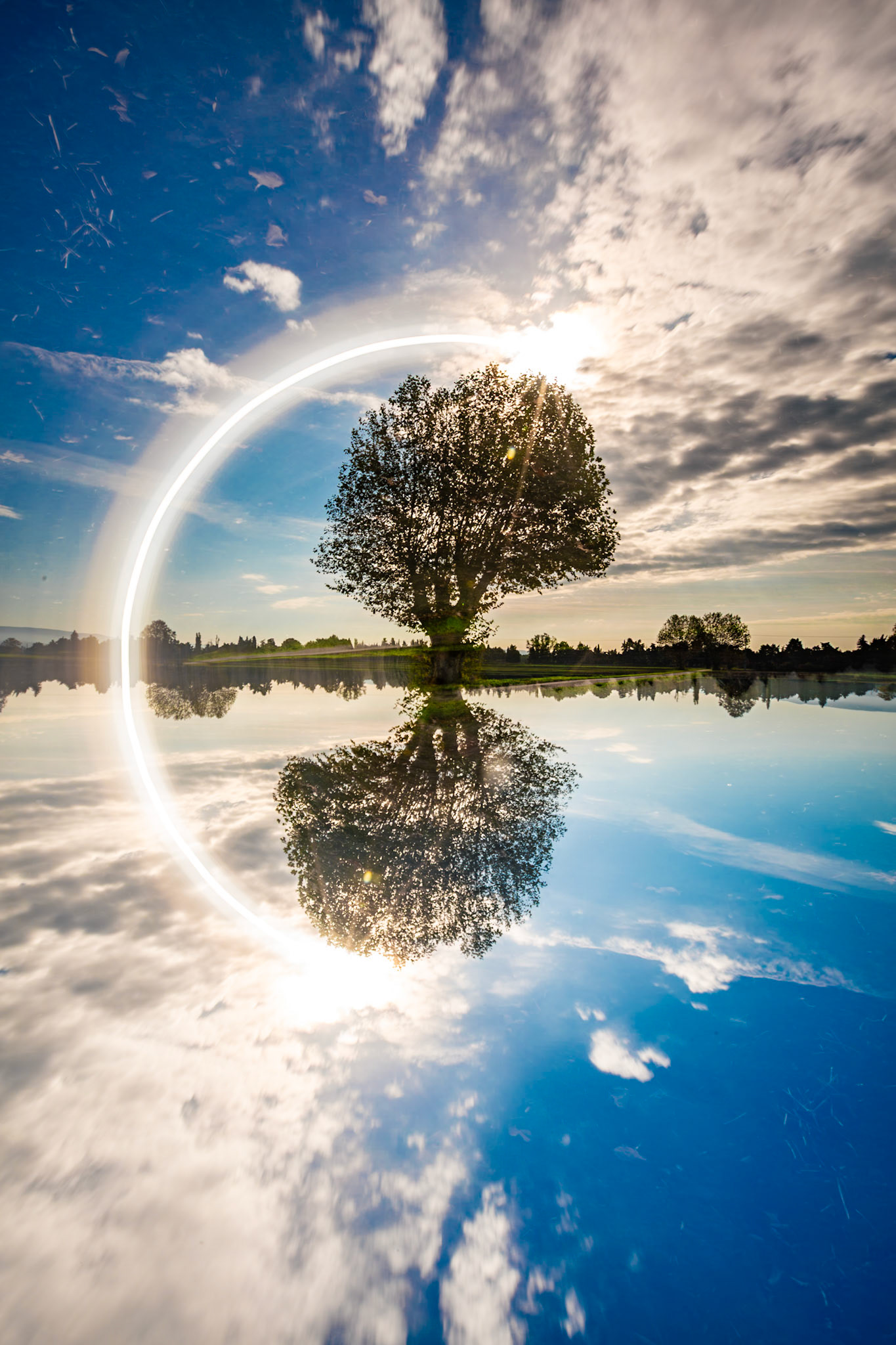 Clair de soleil