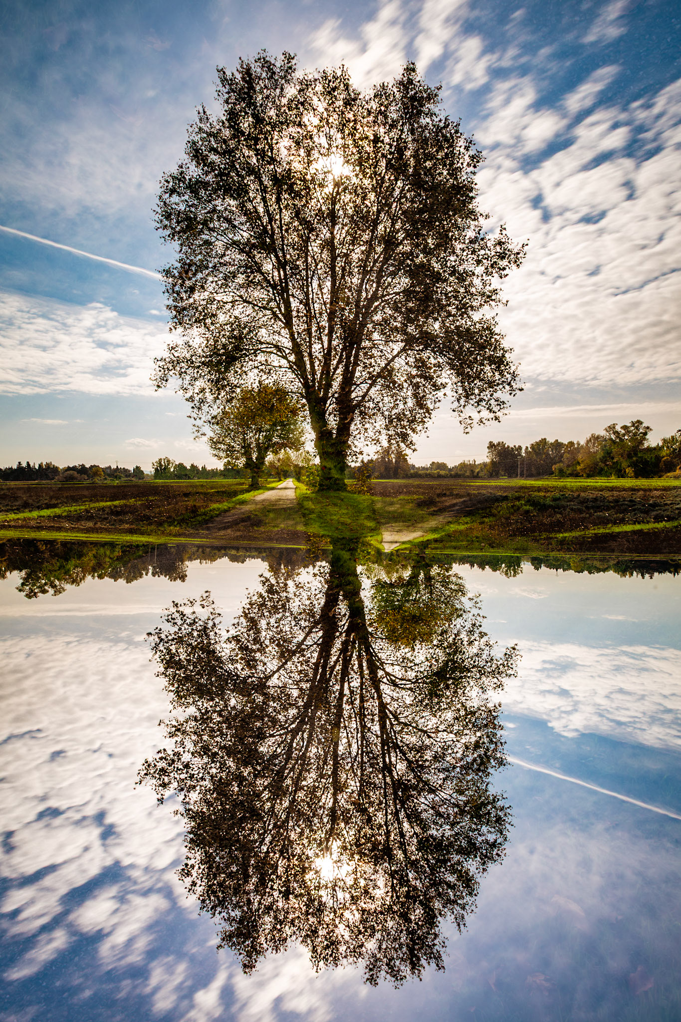 le chemin