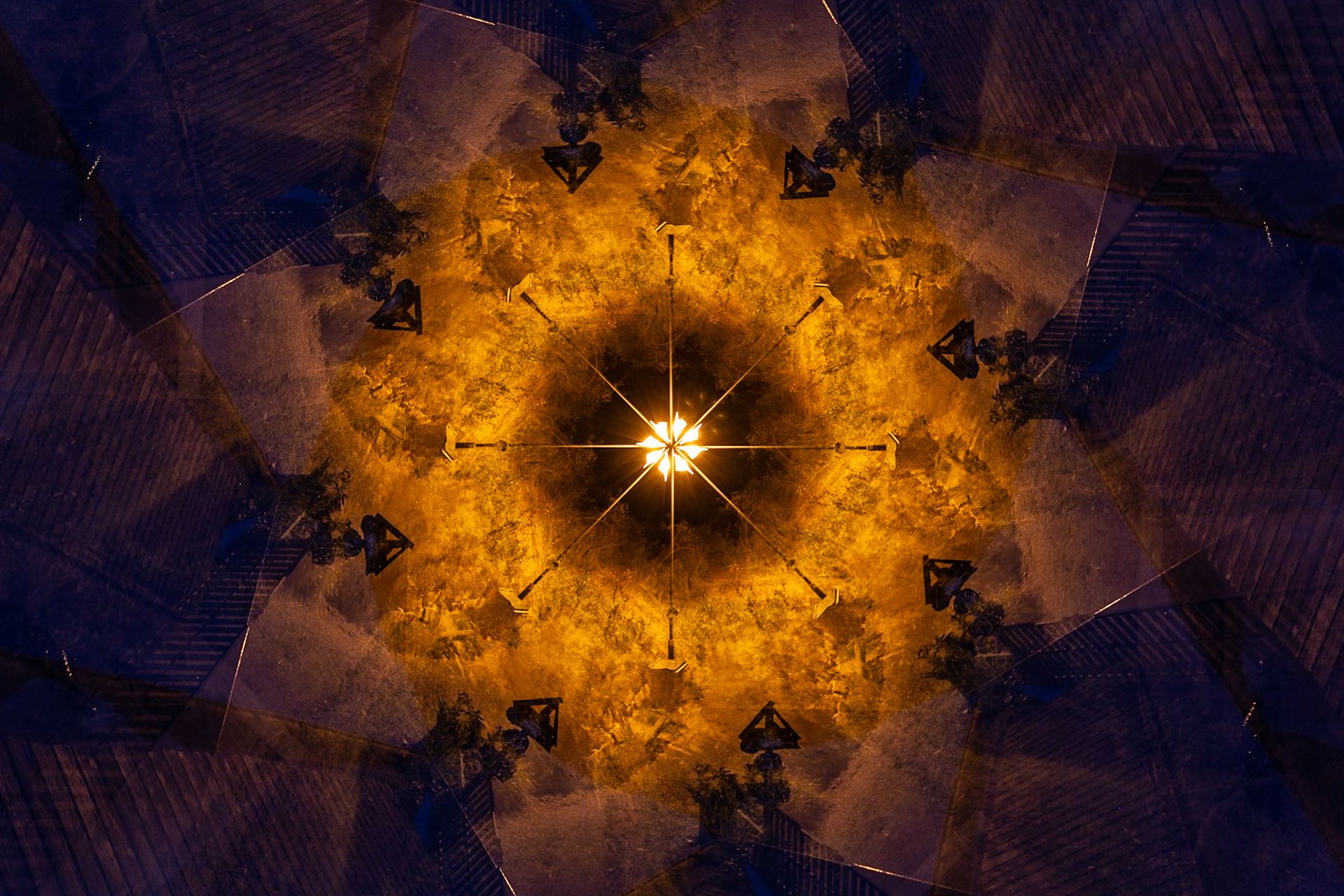 Fleur de nuit