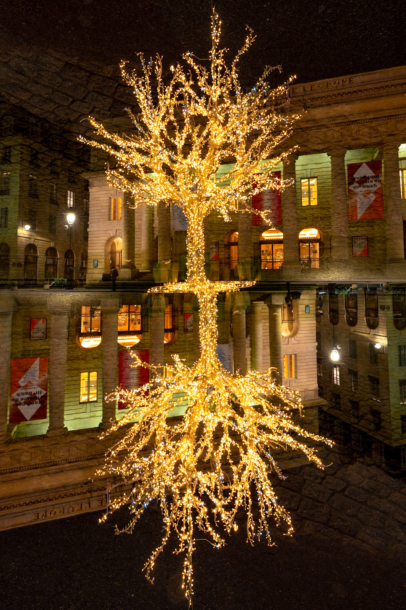L'arbre incandescent