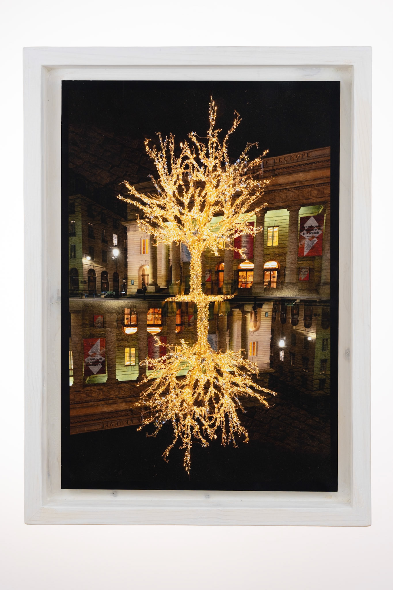 L’arbre incandescent