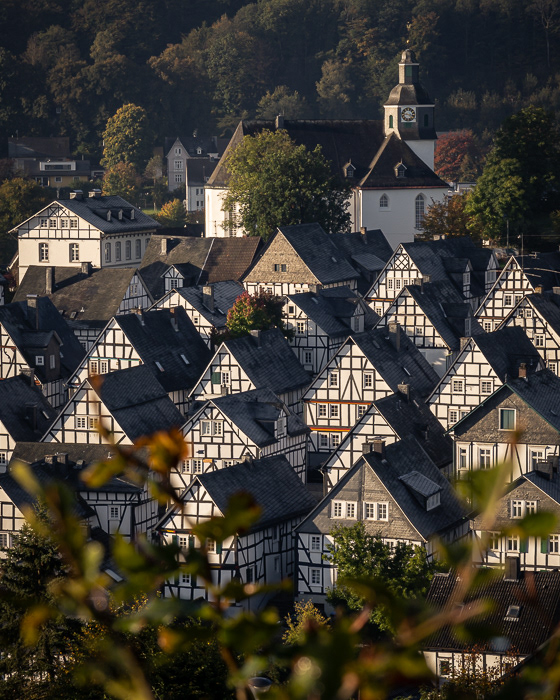 Freudenberg