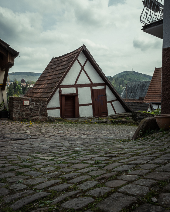Hirschhorn