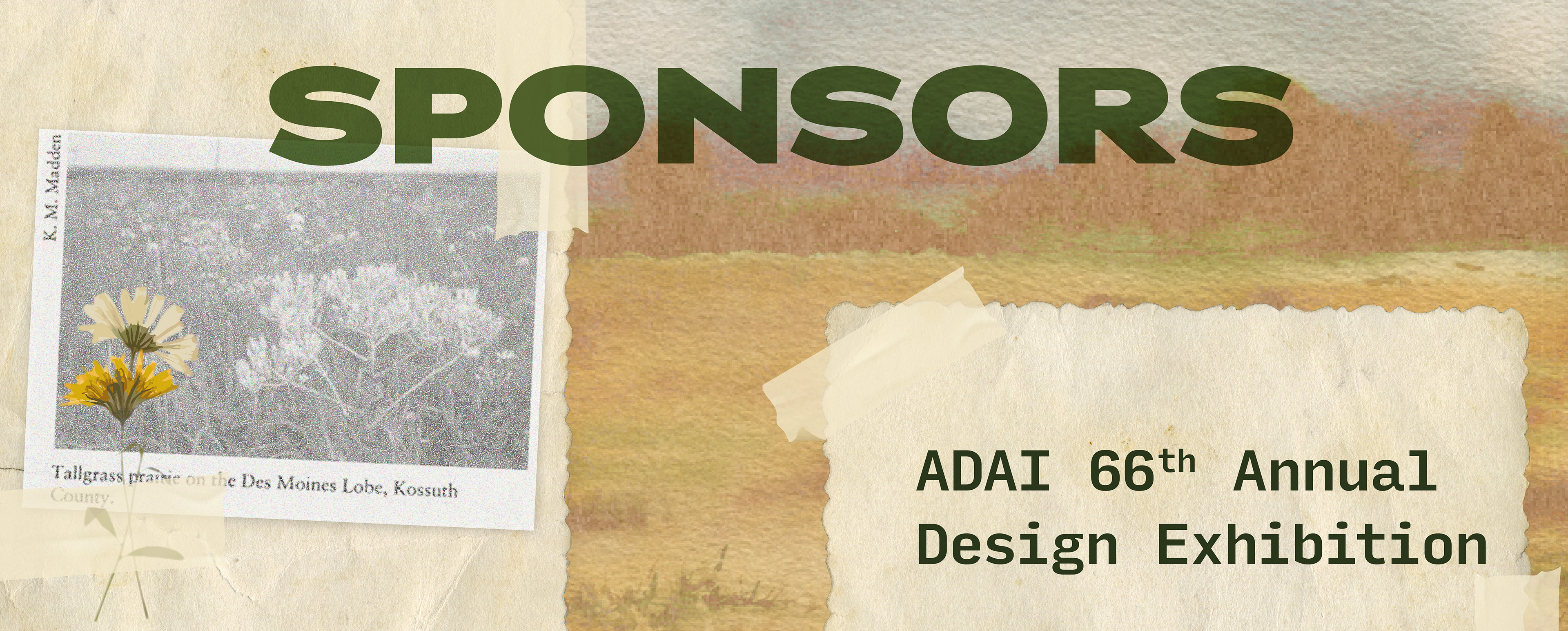 Website Header