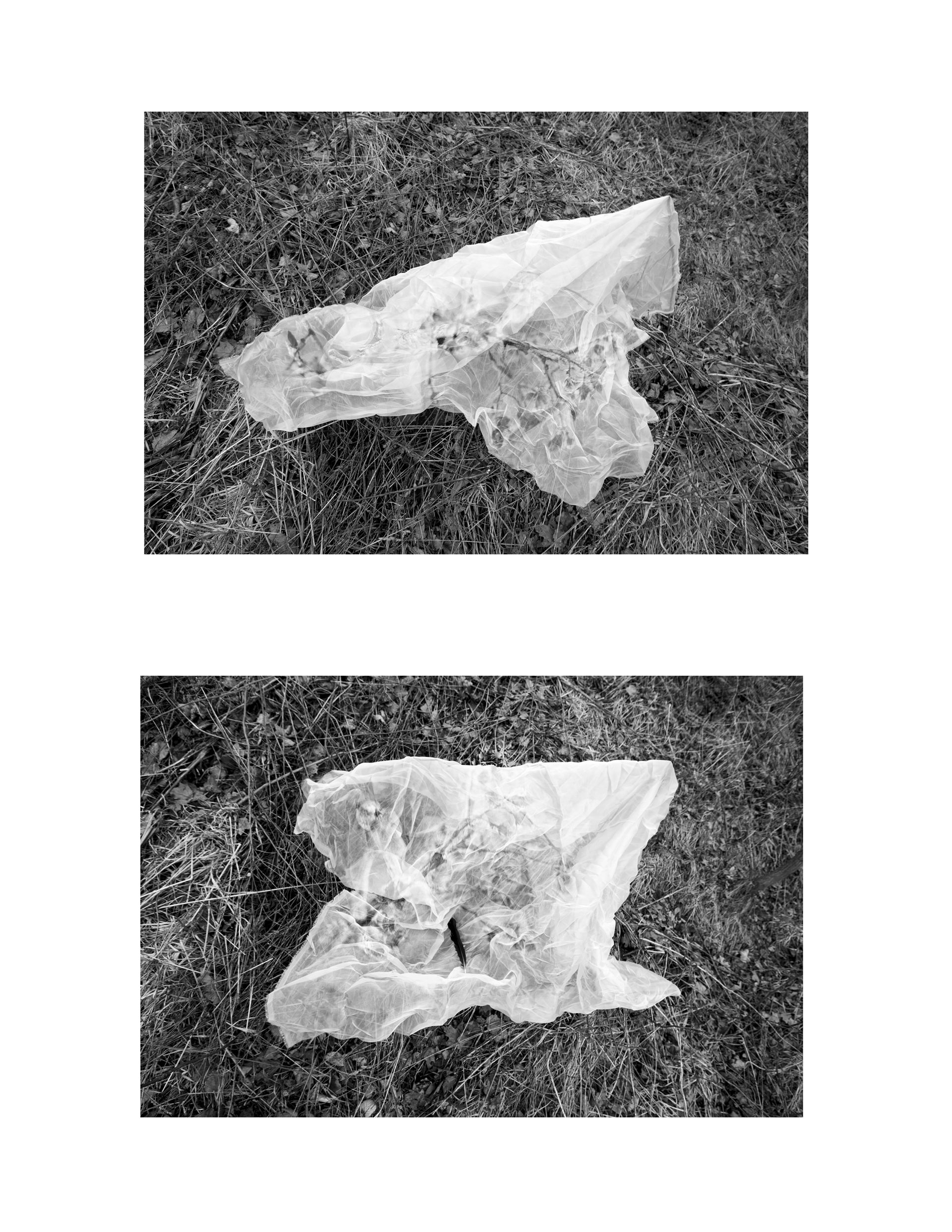 Flow. 2020. Negatives on Silk.