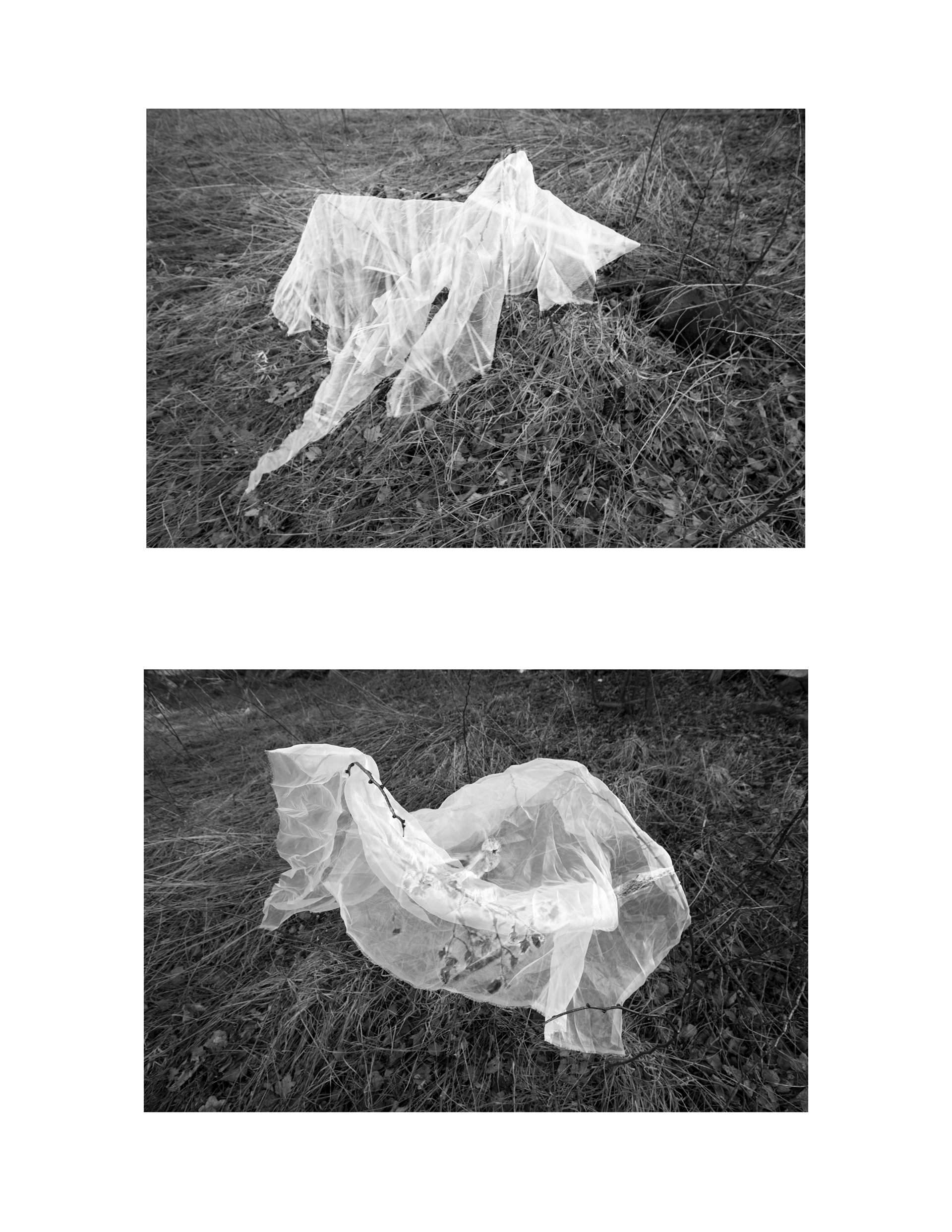 Flow. 2020. Negatives on Silk.