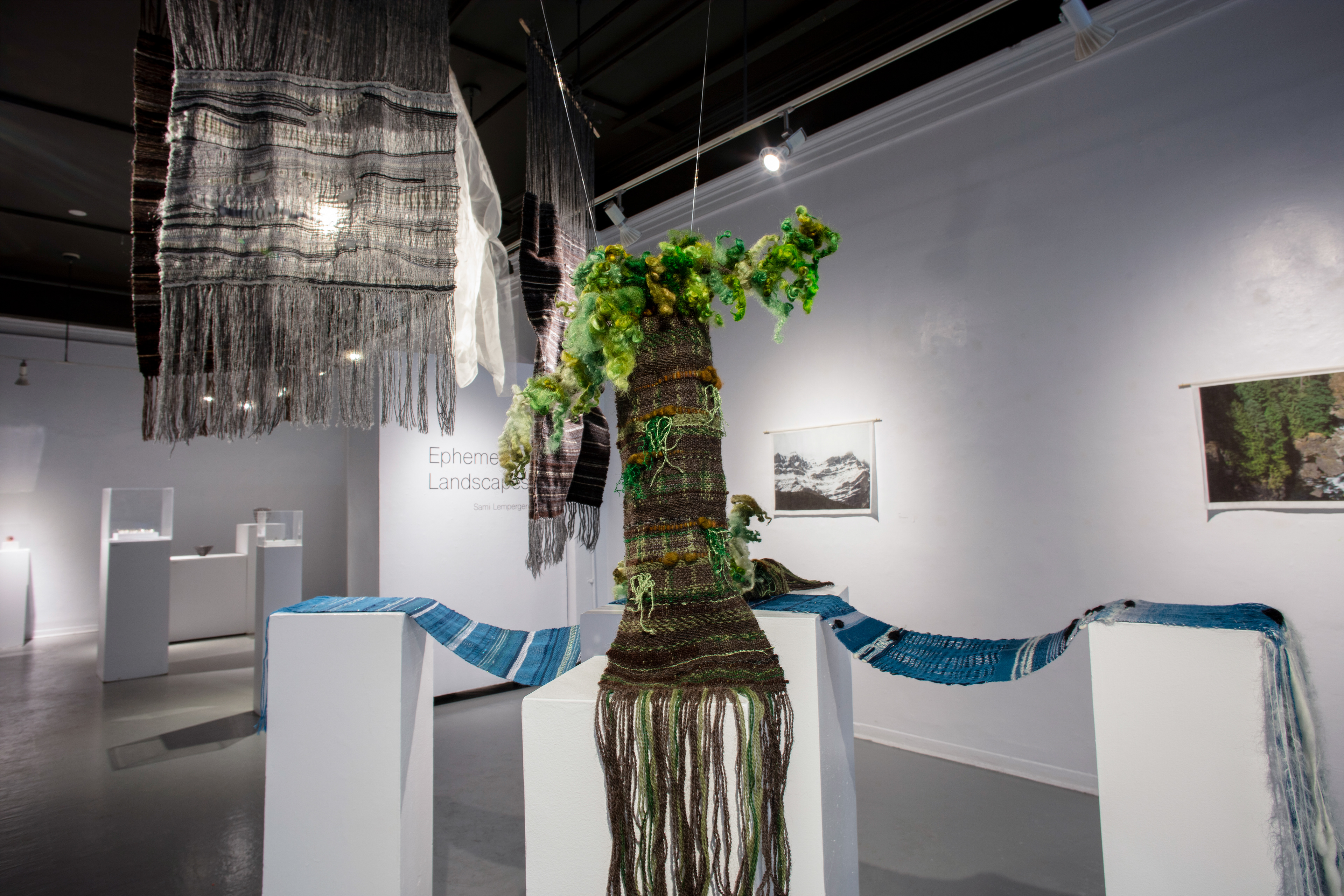 Ephemeral Landscapes. (@ Anna Leonowens Gallery) 2020.