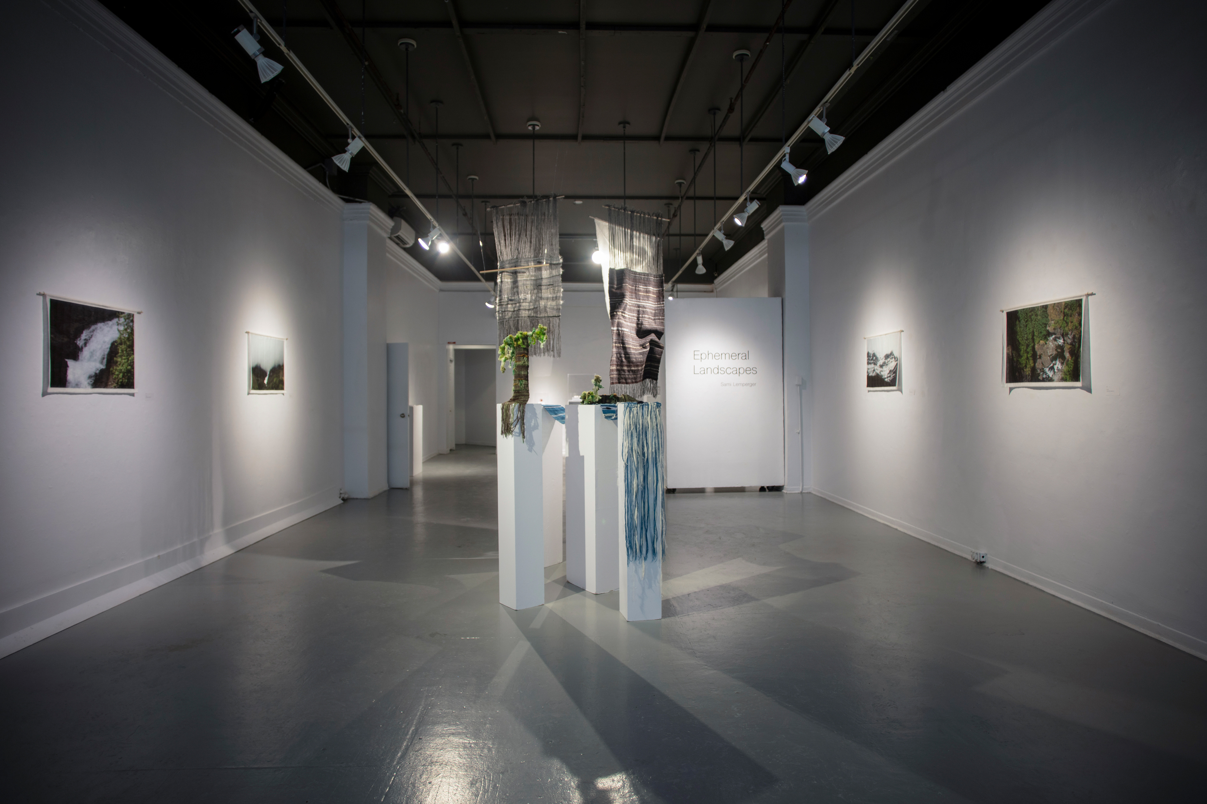 Ephemeral Landscapes. (@ Anna Leonowens Gallery) 2020.
