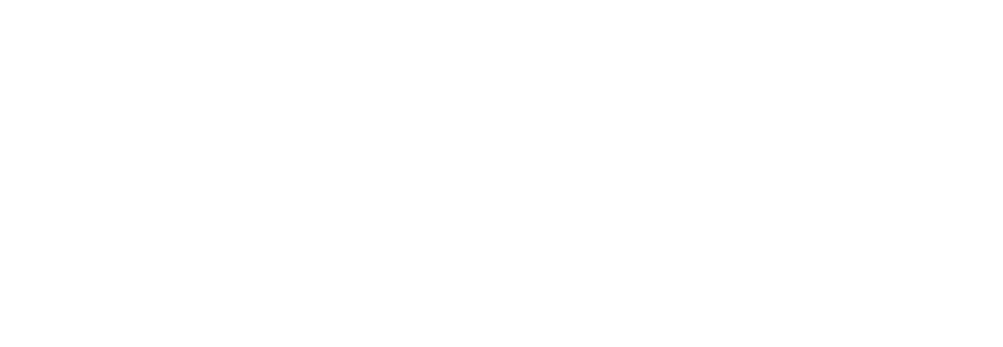 LESWESSLE
