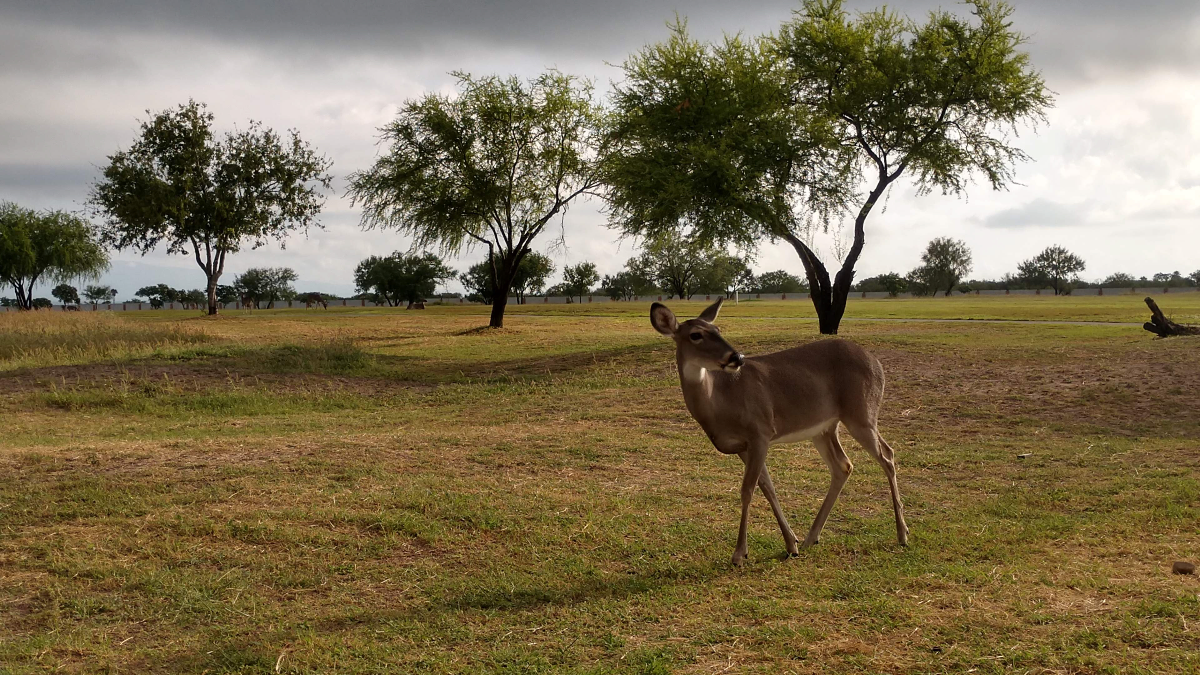 Fotografía de Naturaleza