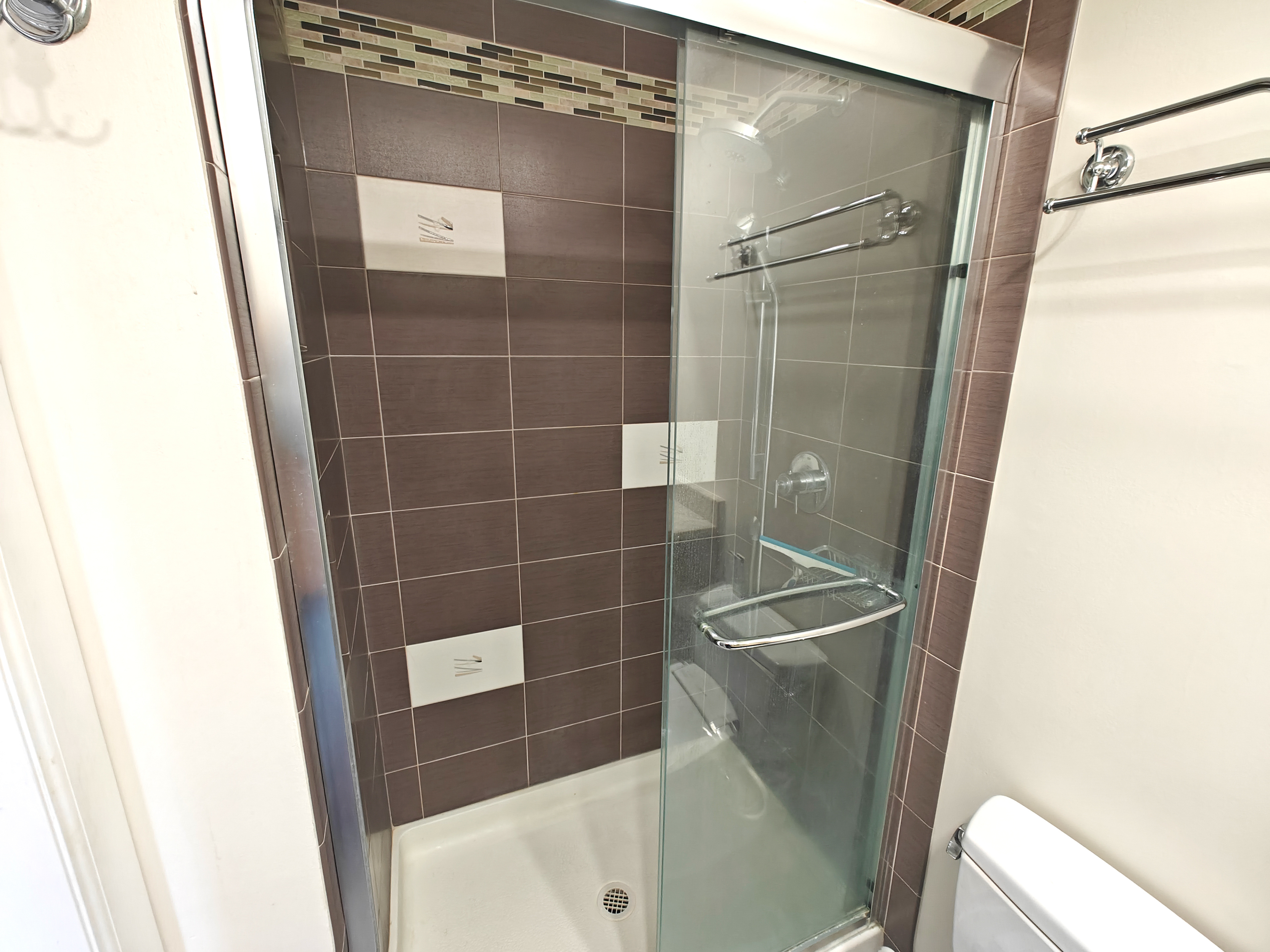 Master Bathroom Shower