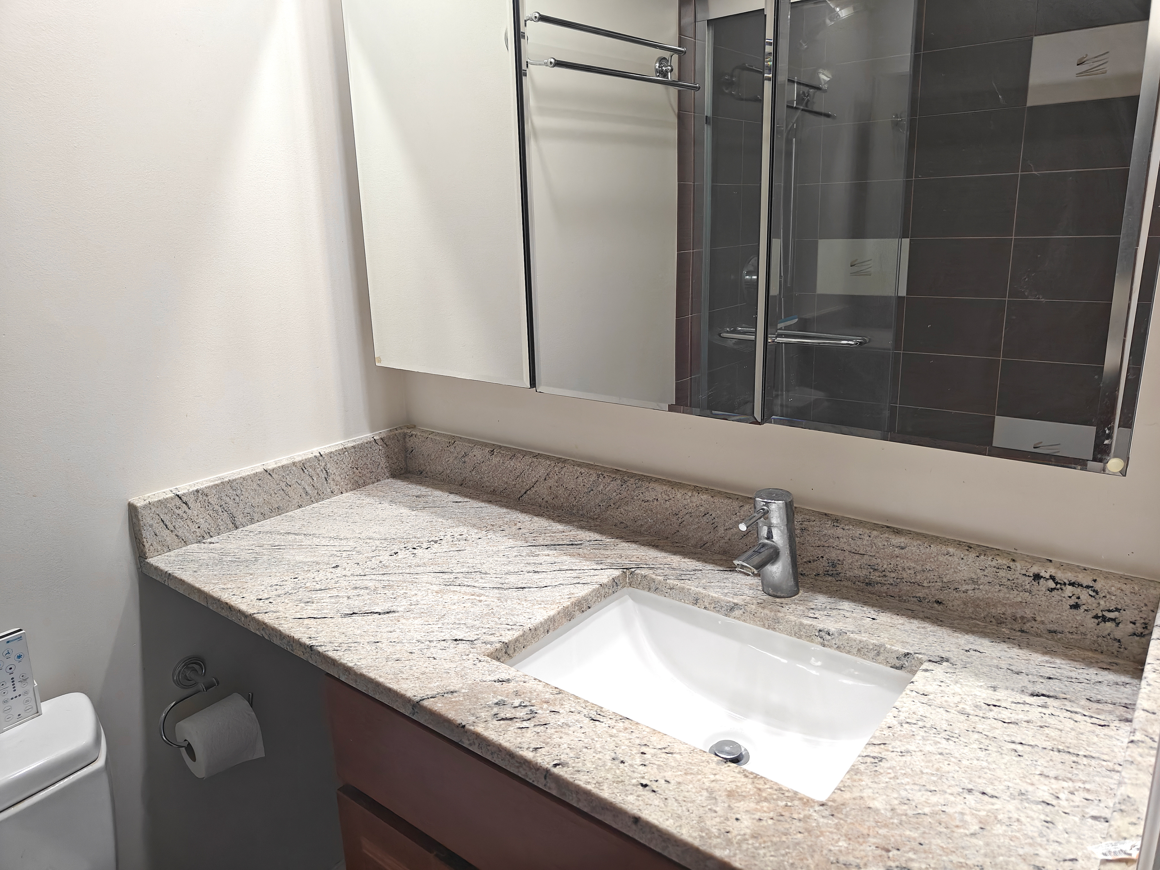 Master Bathroom Sink