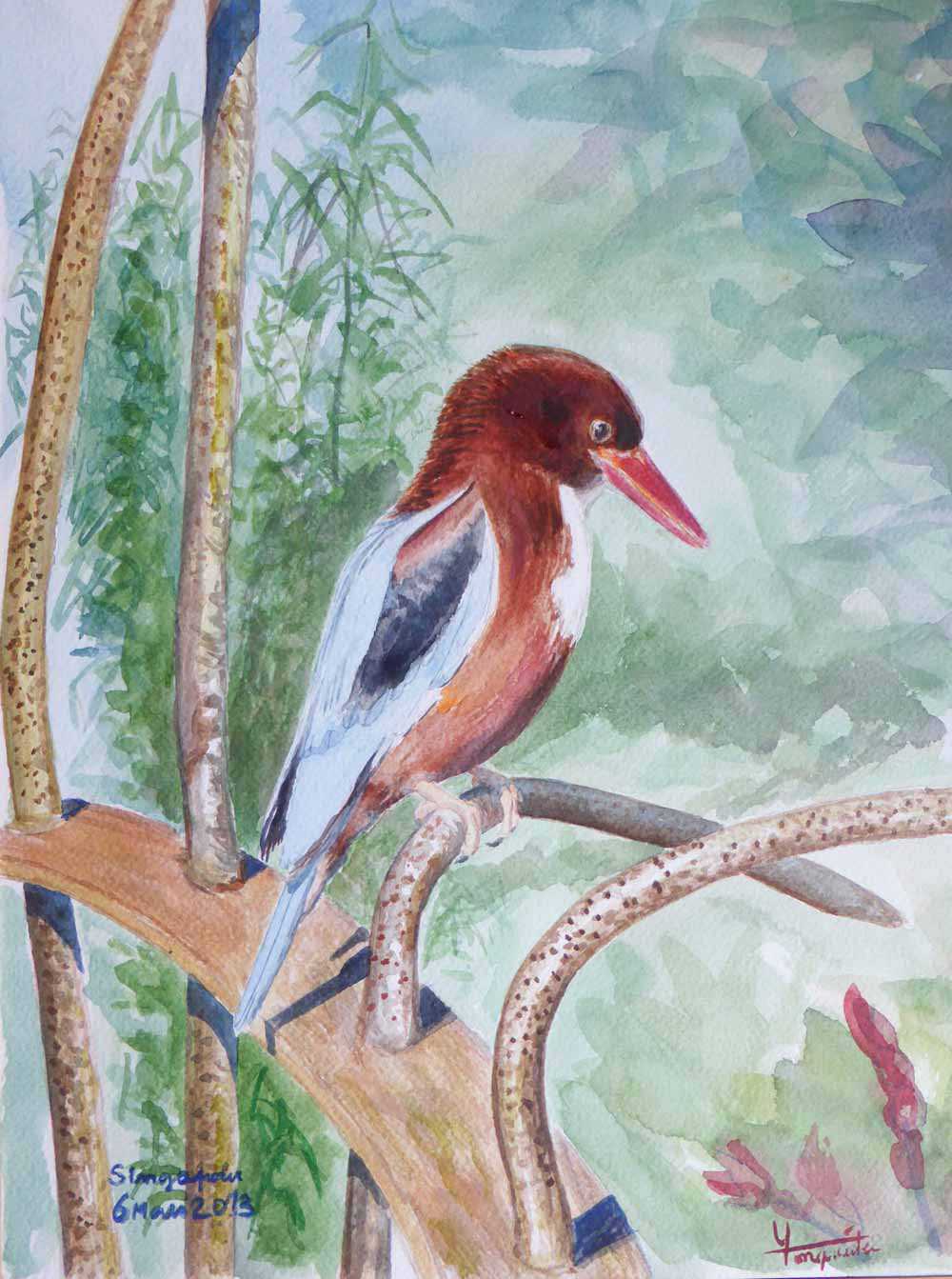 Martin-chasseur de Smyrne sur la grille - Aquarelle 2013