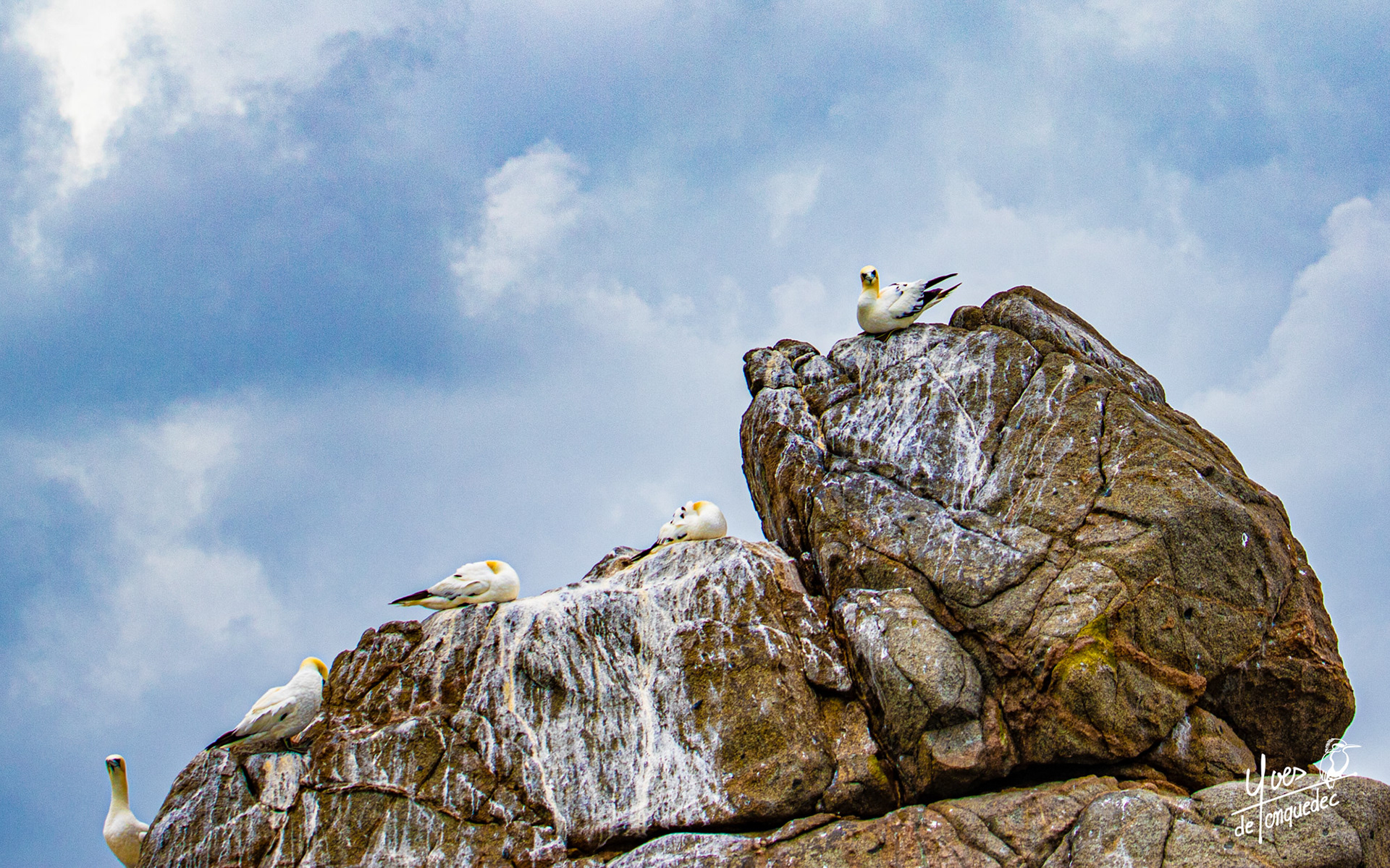 Le rocher des célibataires