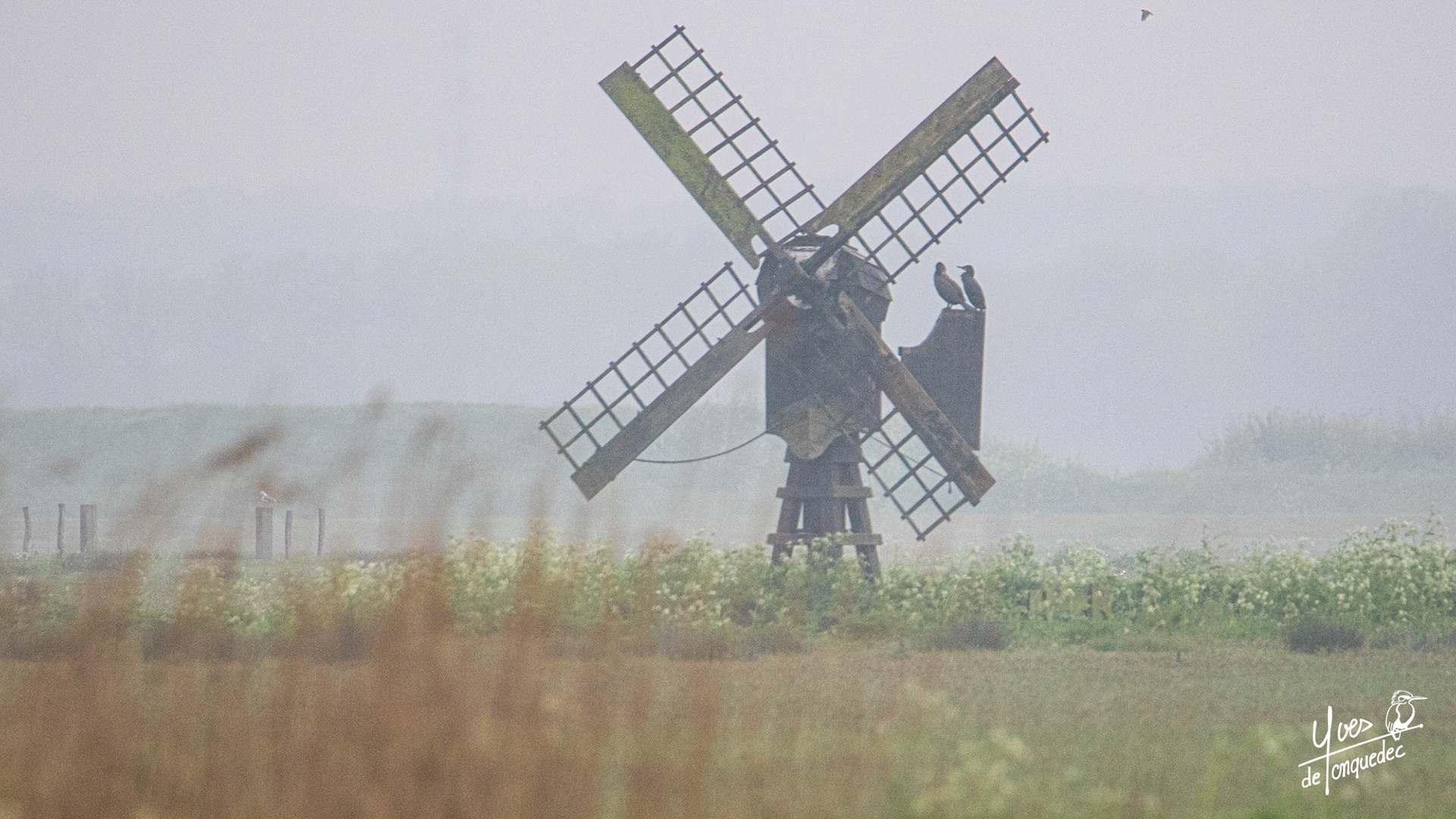 Le moulin des Grands cormorans