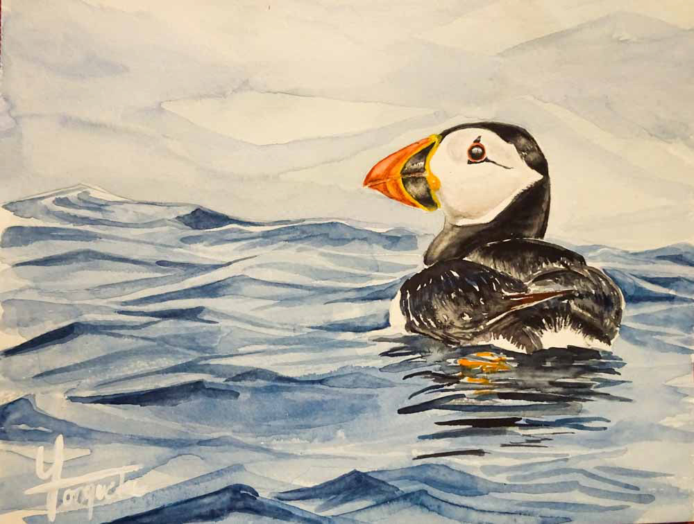 Macareux moine dans la brume - Aquarelle 2019