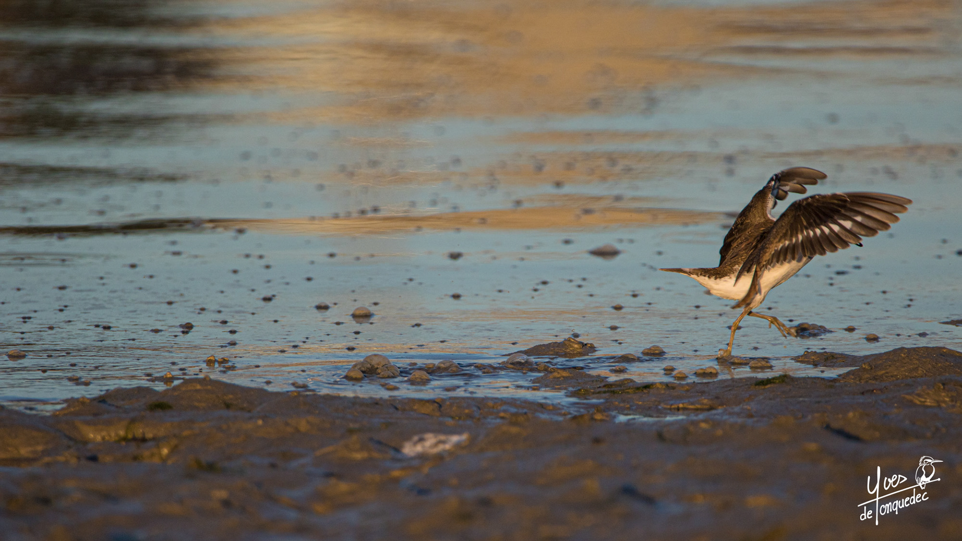 Sortie de scène du Chevalier guignette