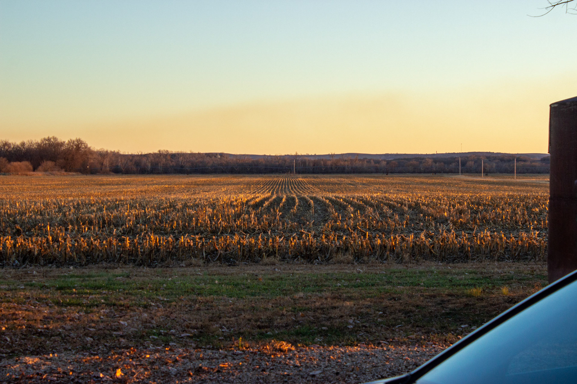 Troy said his cousin Stephen was still doing the farming. He joked about Stephen never learning John's (his father's) secret to planting a straight row, because John's were "straight as an arrow."