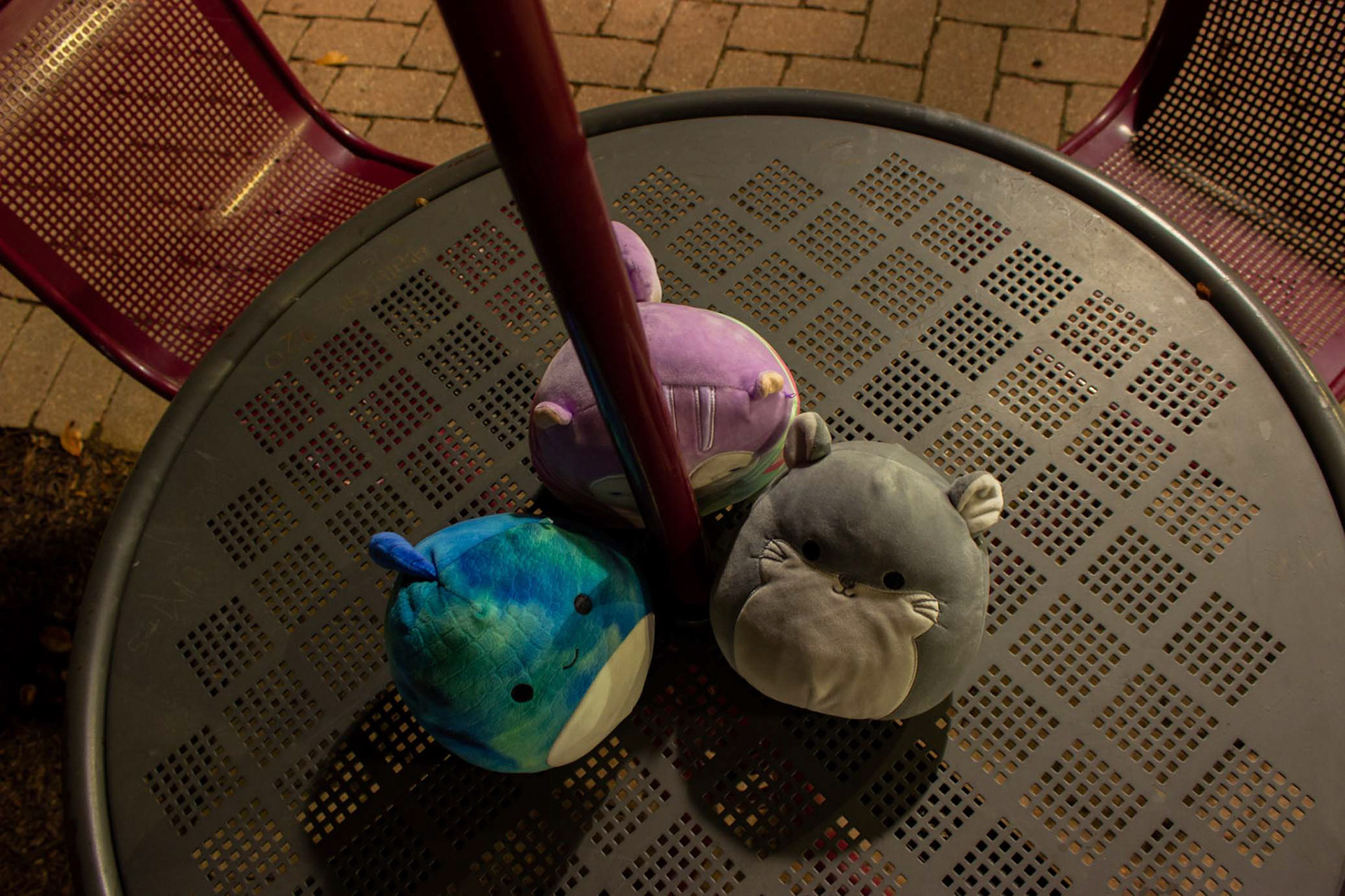 As seen from above, Damien, Sydnee and Camilo huddle underneath an umbrella at the Union. The cylindrical Squishmallow shape is much easier to identify from above.