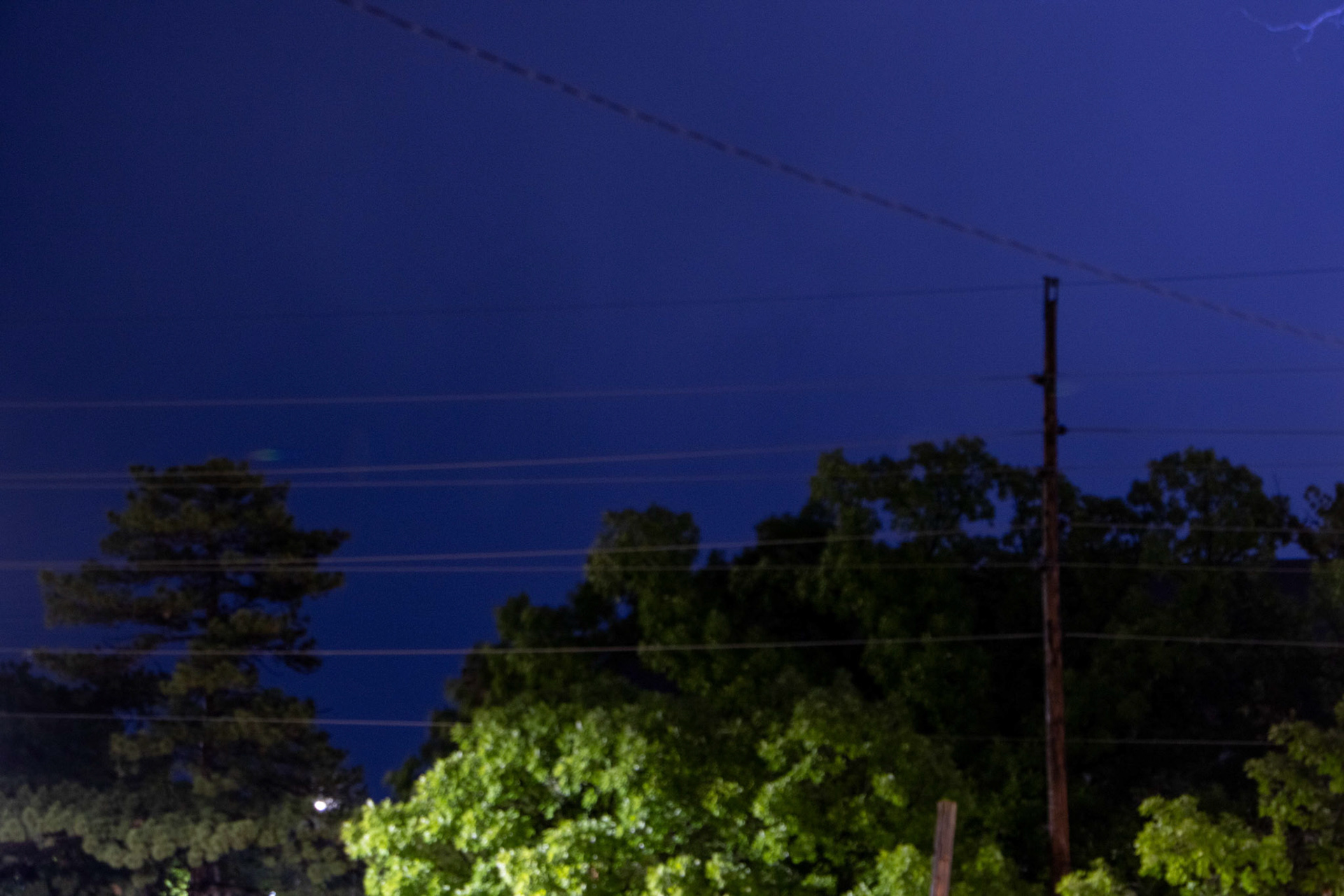 Just a little baby bolt :)