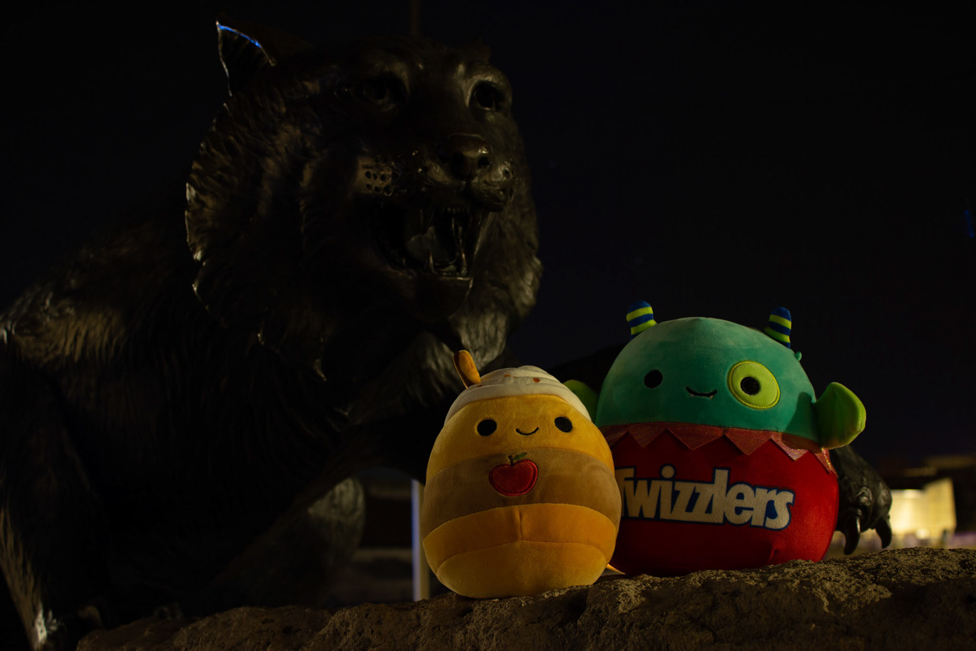 It appears Pommie and Twizzlers have met their fate — a late-night snack to a bronzed wildcat. (Included on @CarterintheStars)