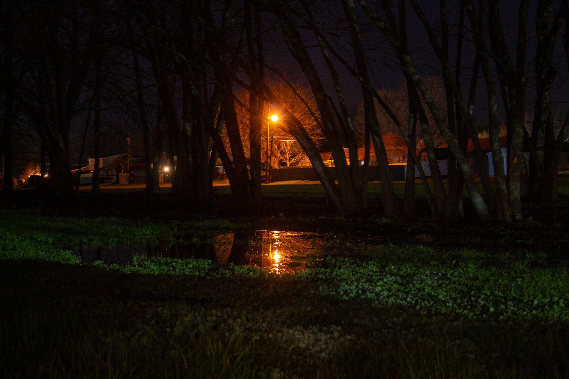 Streetlamp in the Marsh (Lightroom Classic auto suggestions)