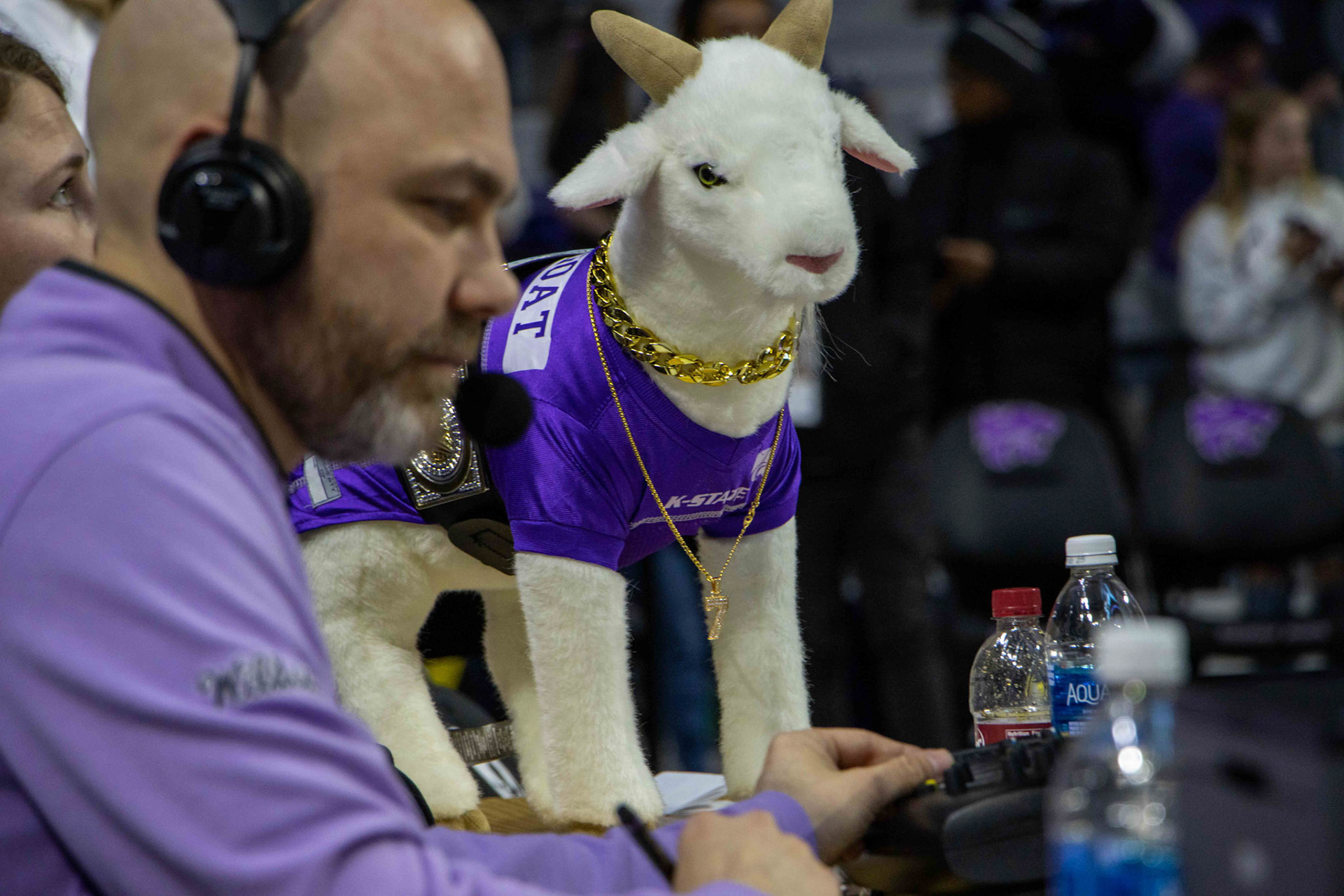 Gappy, the women's basketball team's unofficial mascot, stands tall and proud with all his chains following K-State's victory over Texas 61-58 Jan. 13, 2024. Every time the women's basketball team gets three defensive stops, a team manager holds up Gappy in celebration.