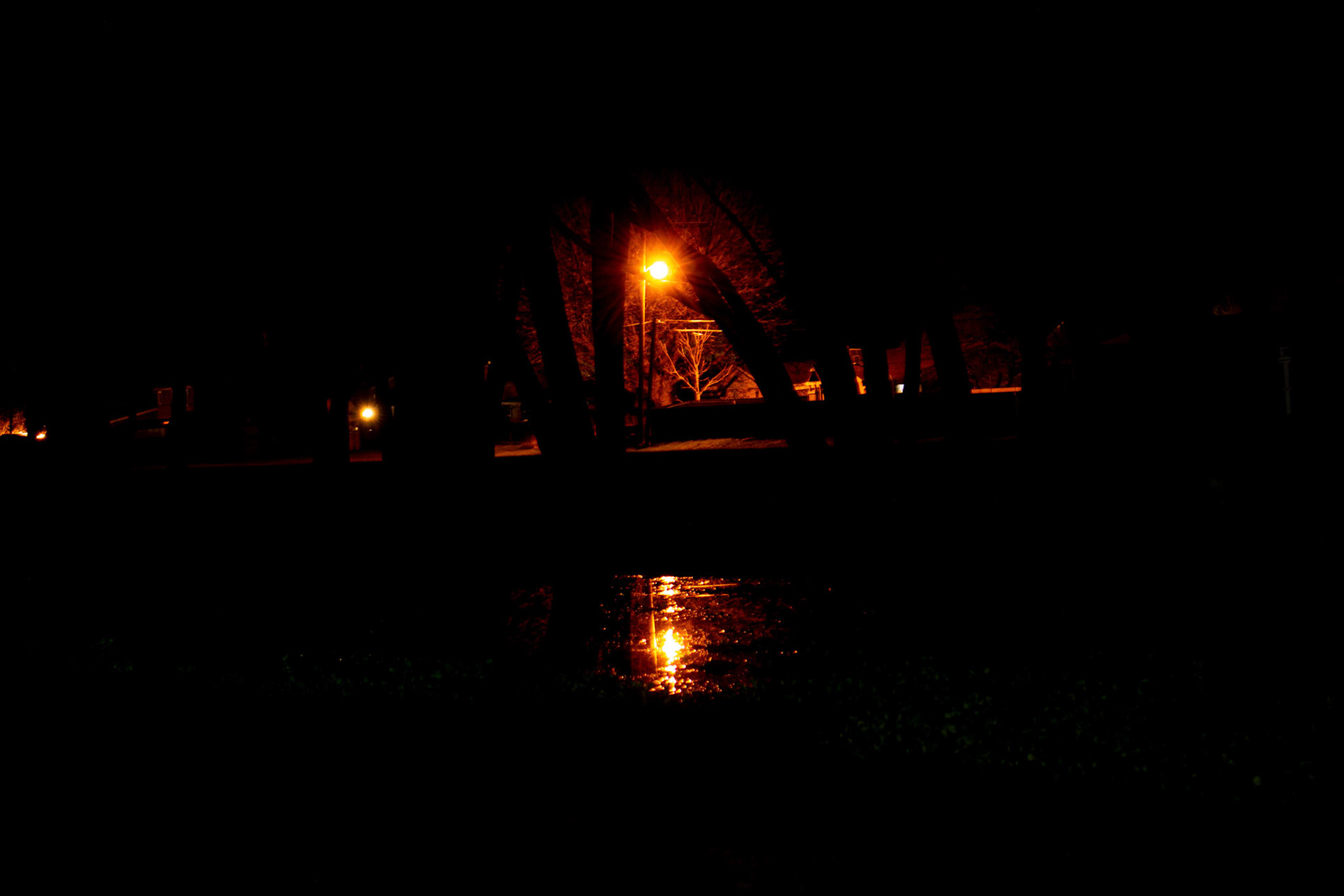 Streetlamp in the Marsh (cropped in, blacks turned down)