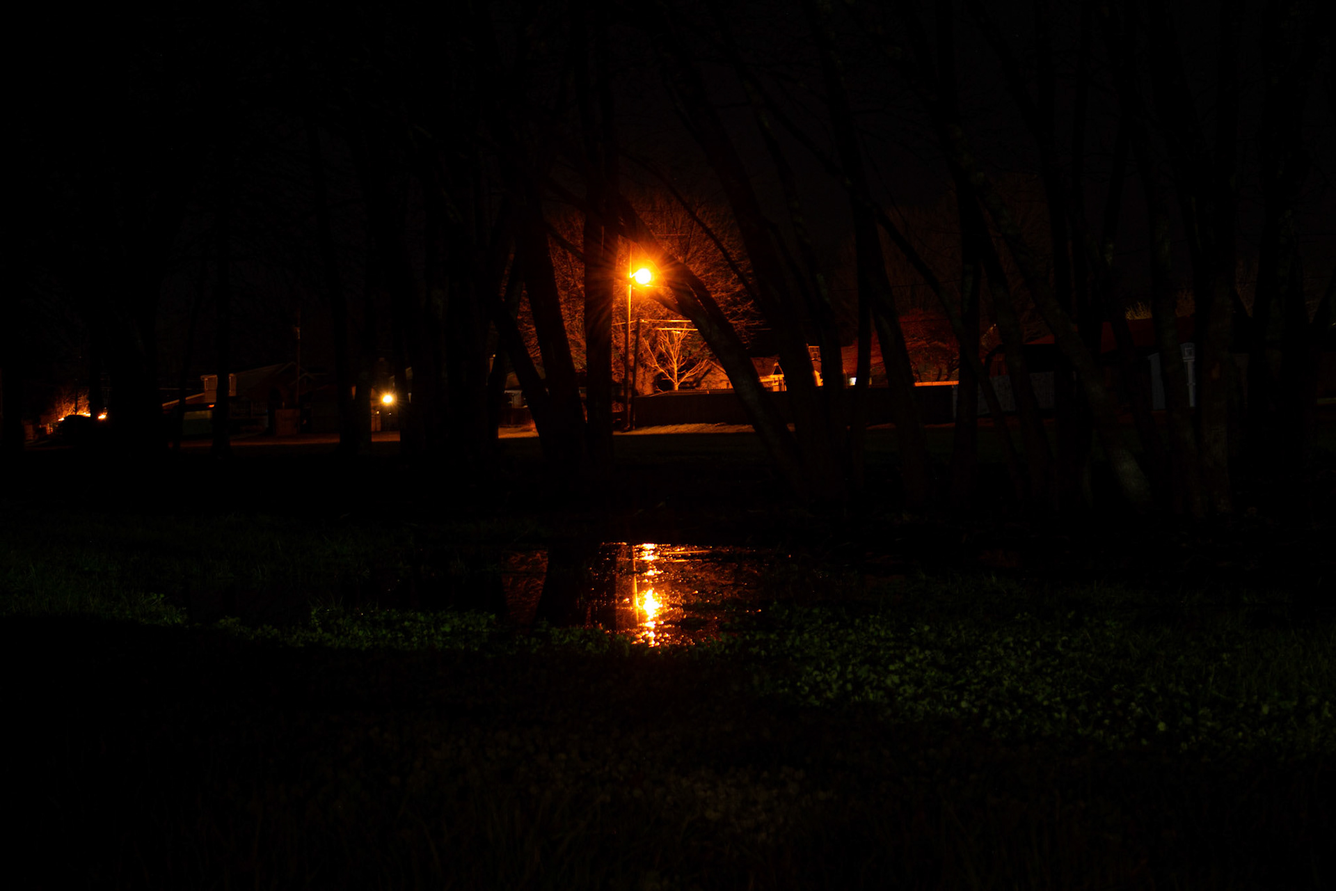 Streetlamp in the Marsh (my original edits)