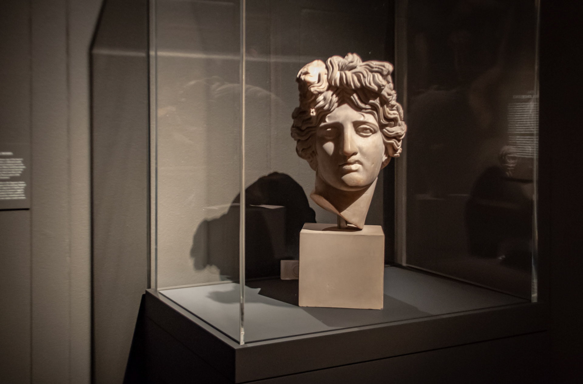 Ribera Exhibition