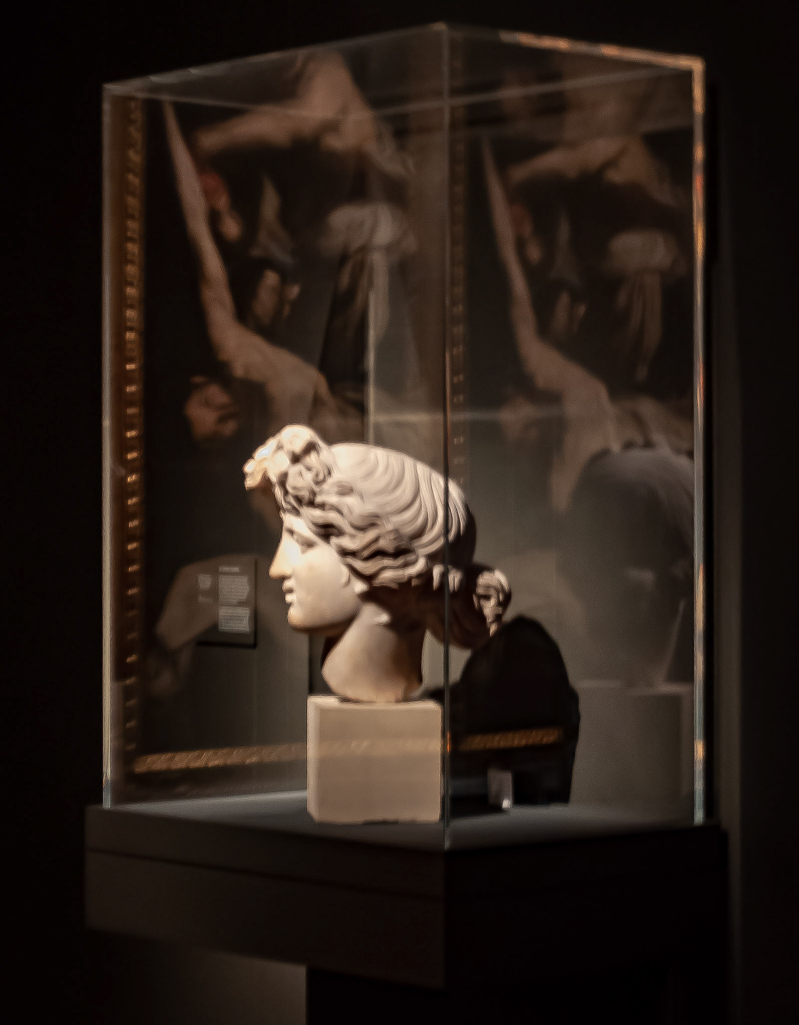 Ribera Exhibition