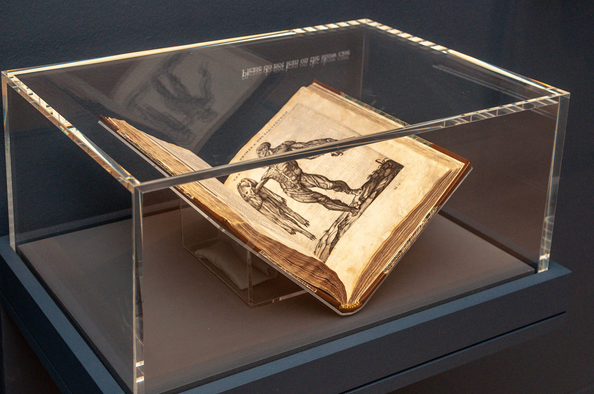 Ribera Exhibition