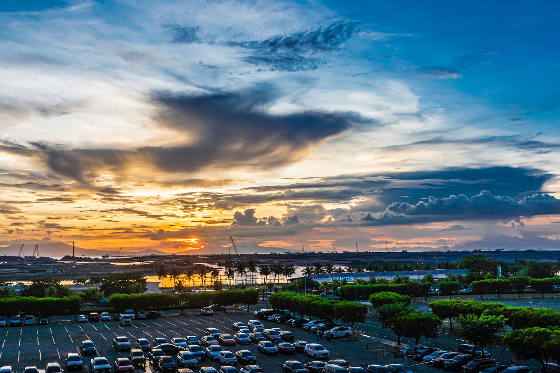 "The Fading Natural Beauty" 2025