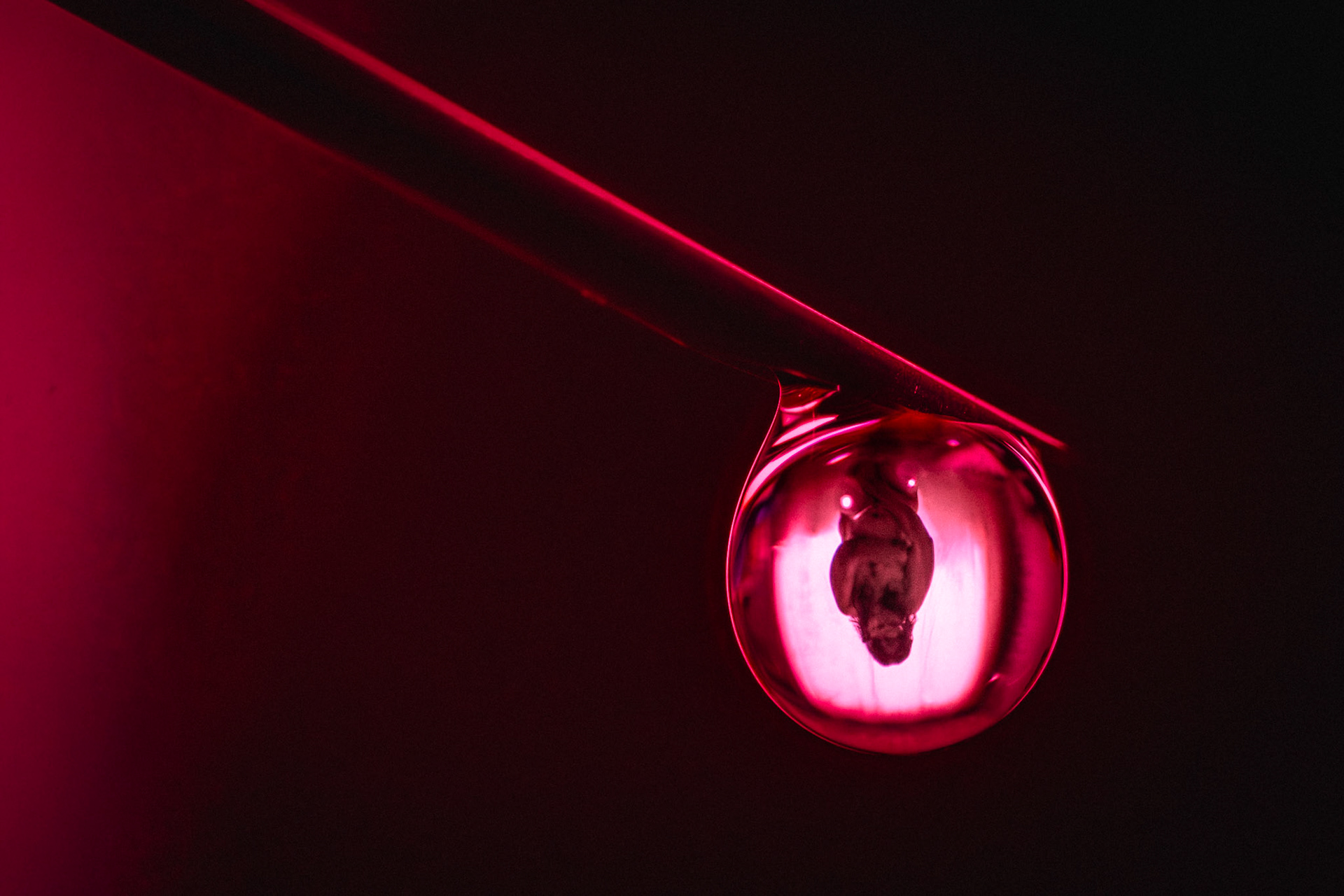 "Forbidden Experiment" 2025