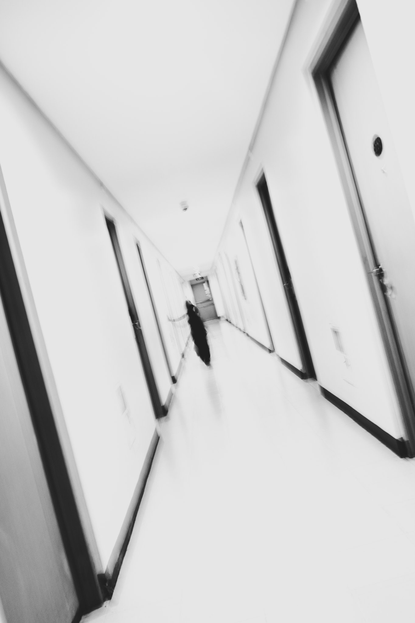 "Escape" 2026