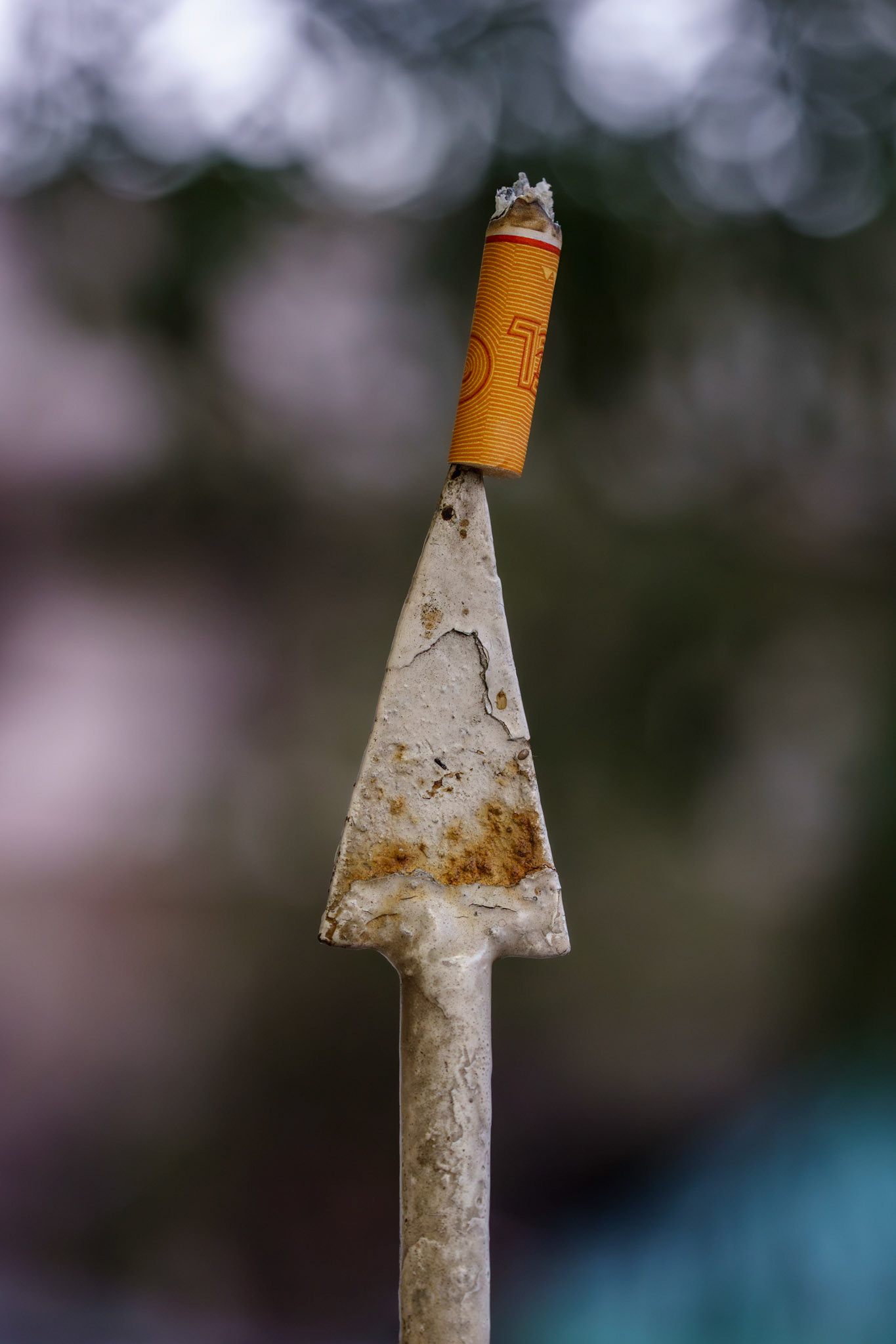 "Left by Habit" 2026