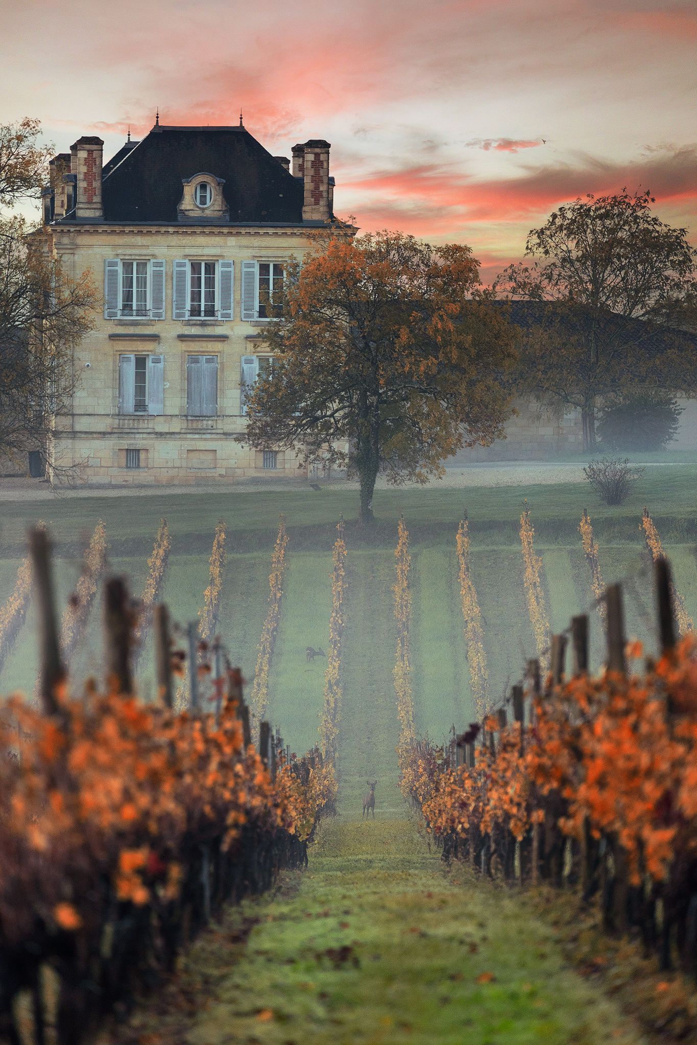 Chateau La France