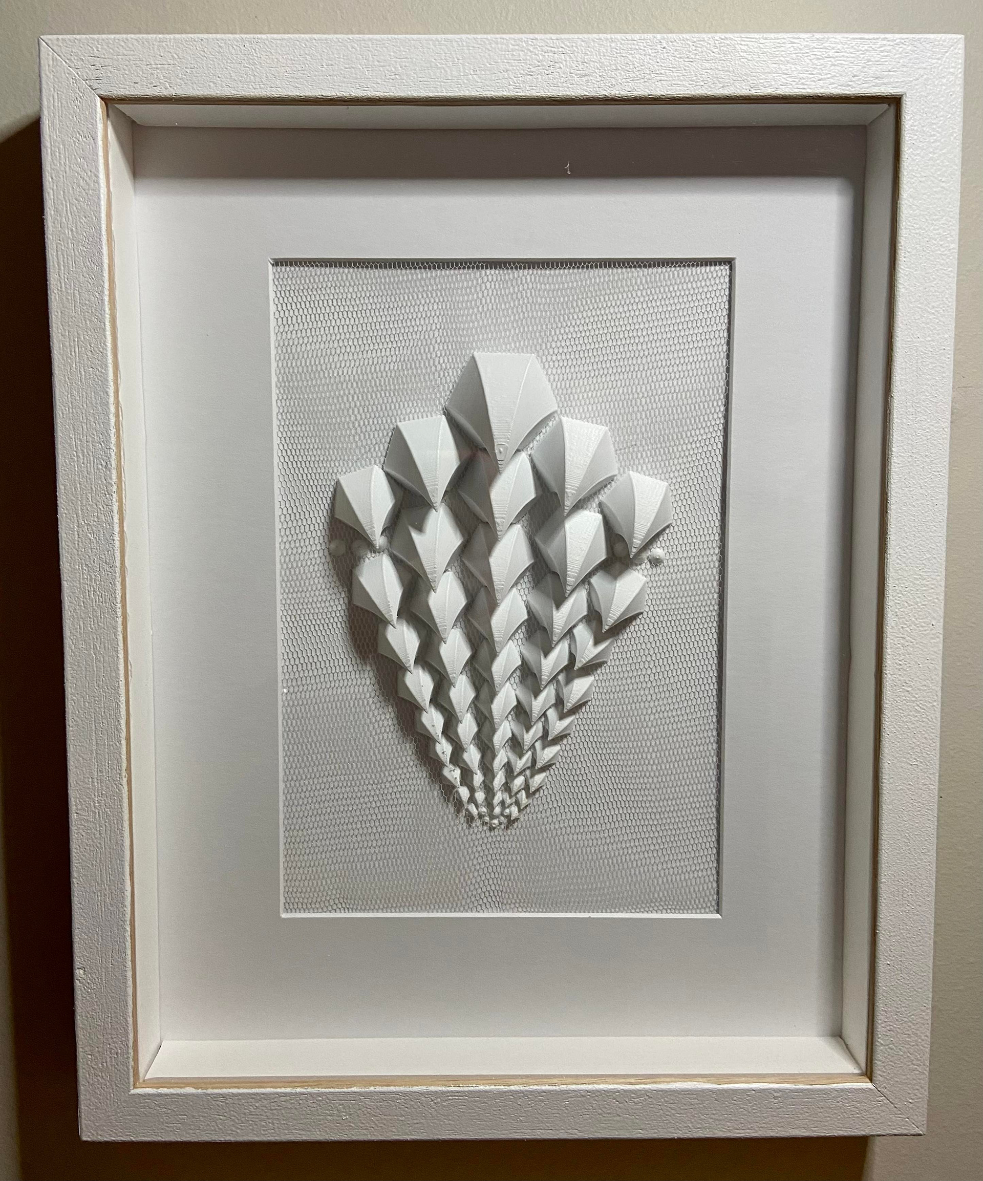 Evolve 2022, PLA FDM 3D print on mesh, Australian oak timber frame with acrylic front
