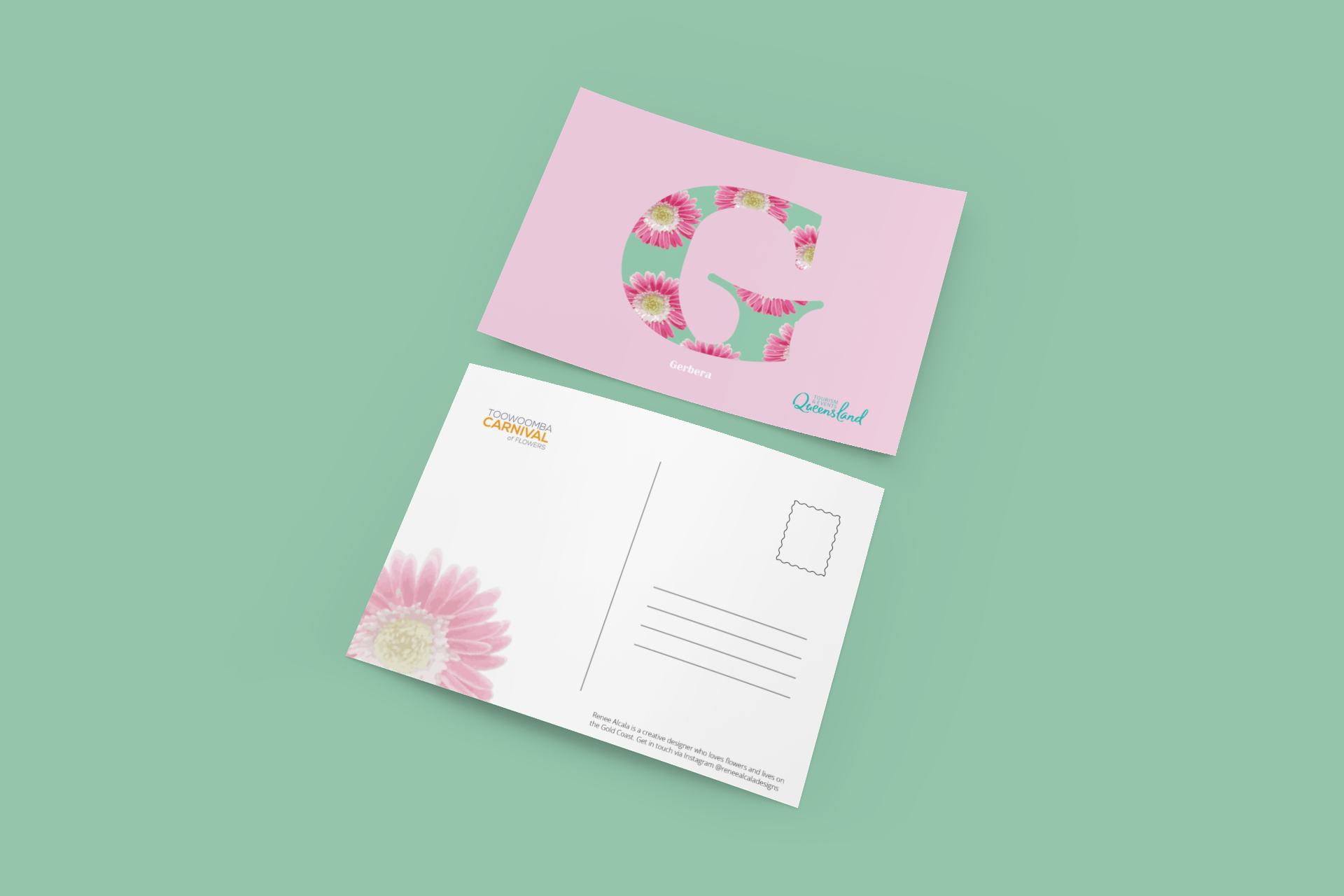Gerbera