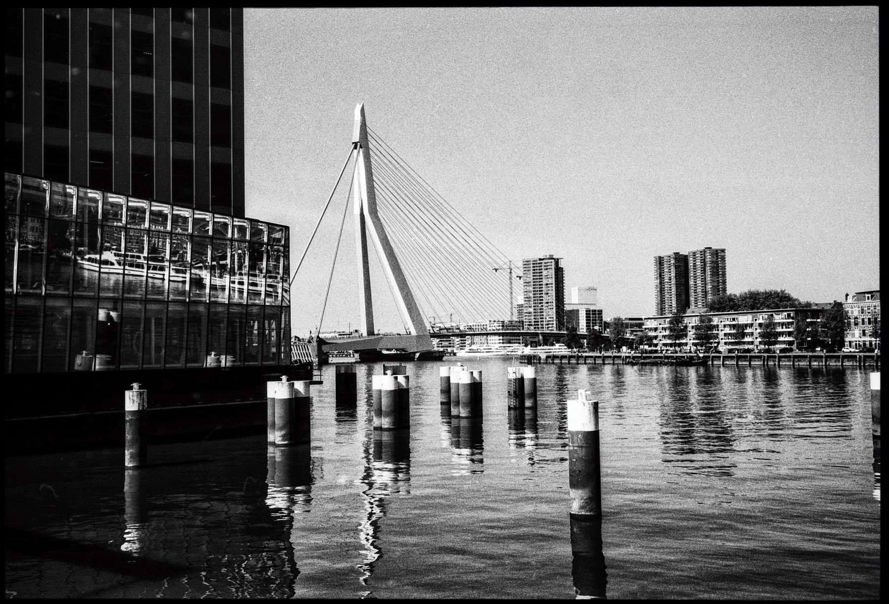 Erasmusbrug