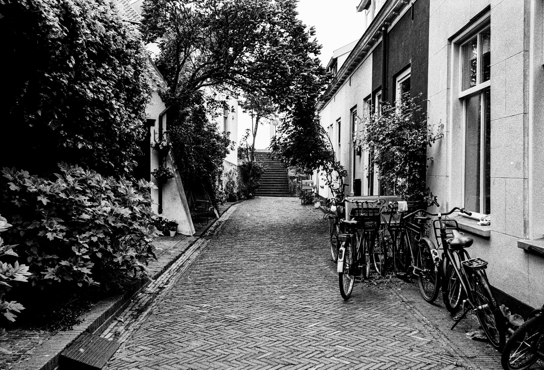 Bloemendaal