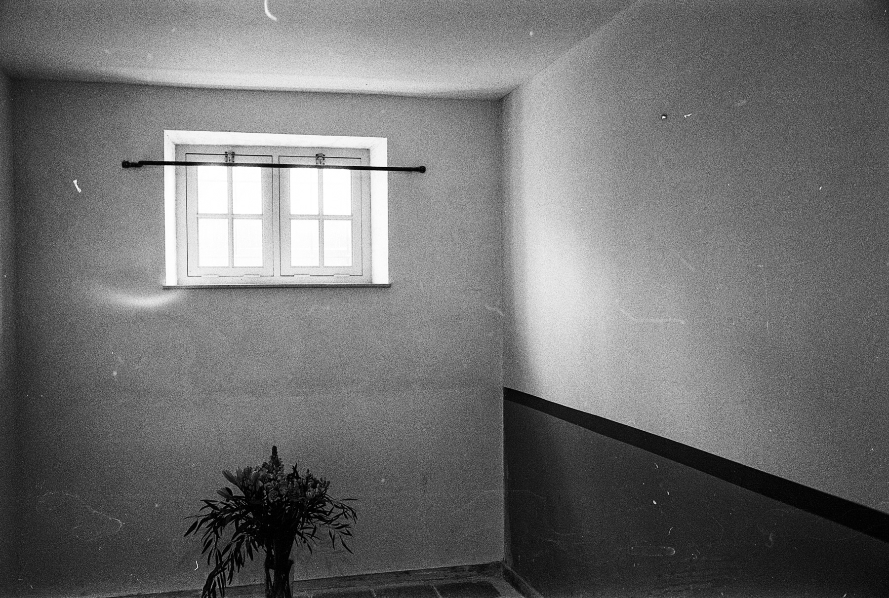 Inside Cell 115