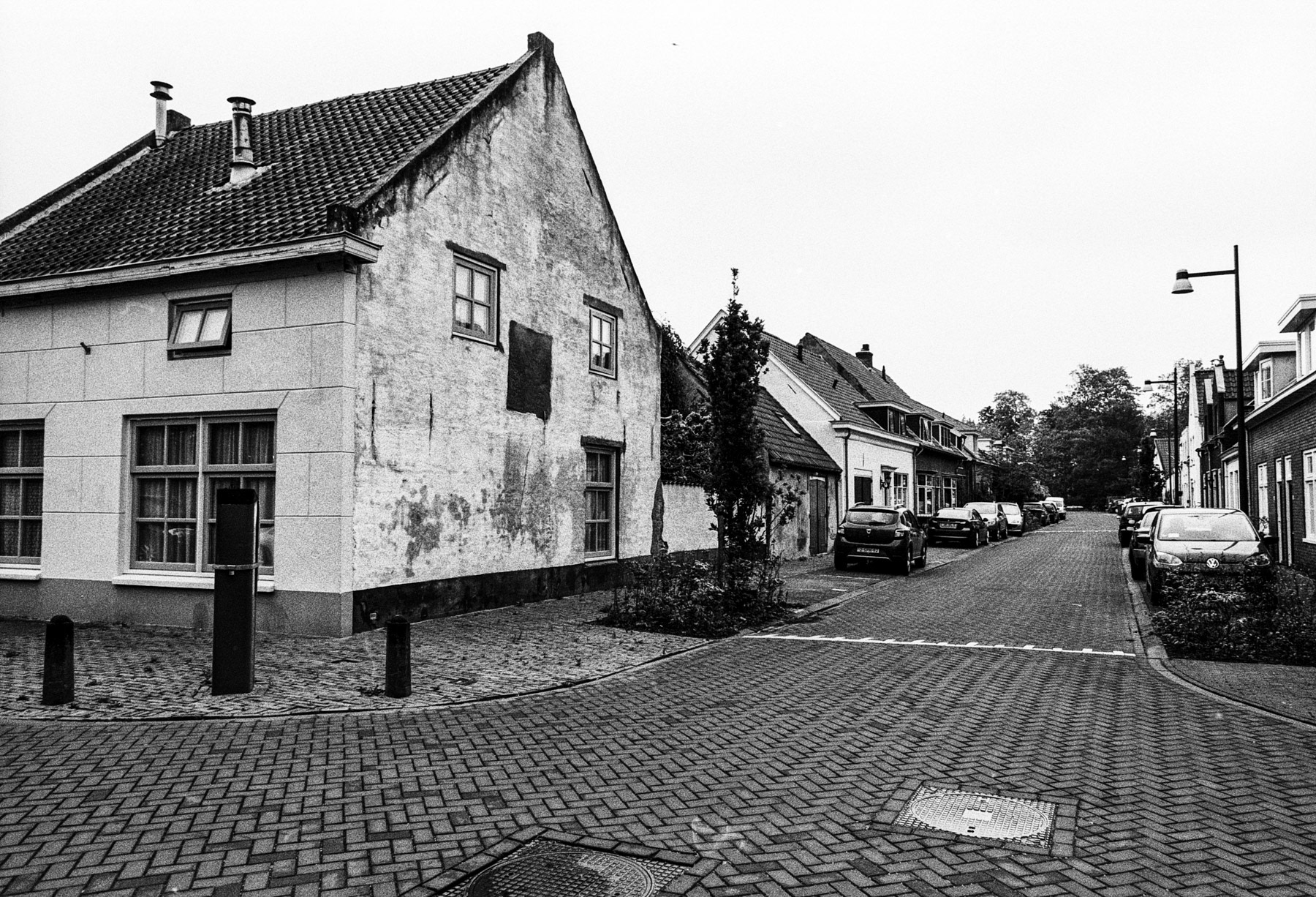 Vogelenzang