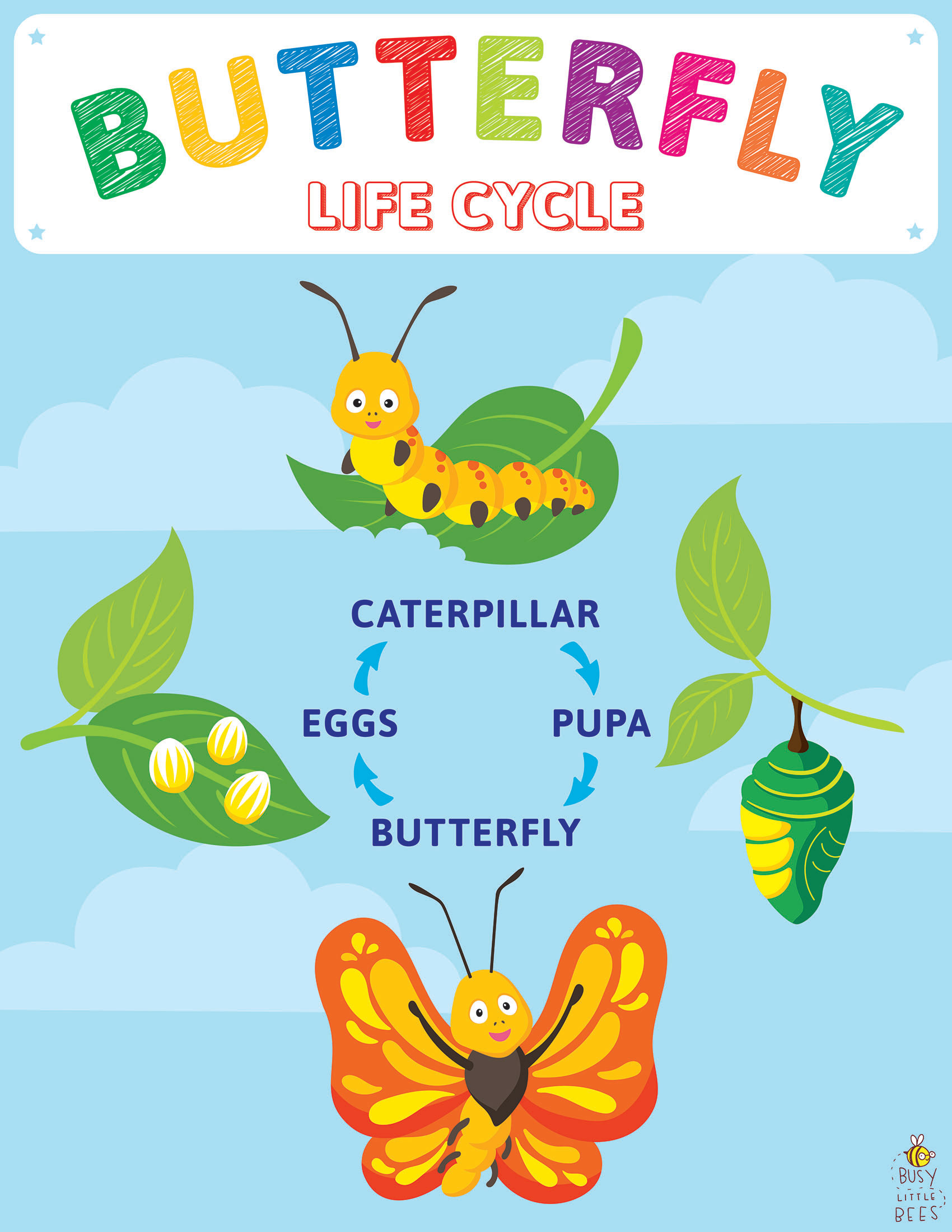 butterfly life cycle for kids