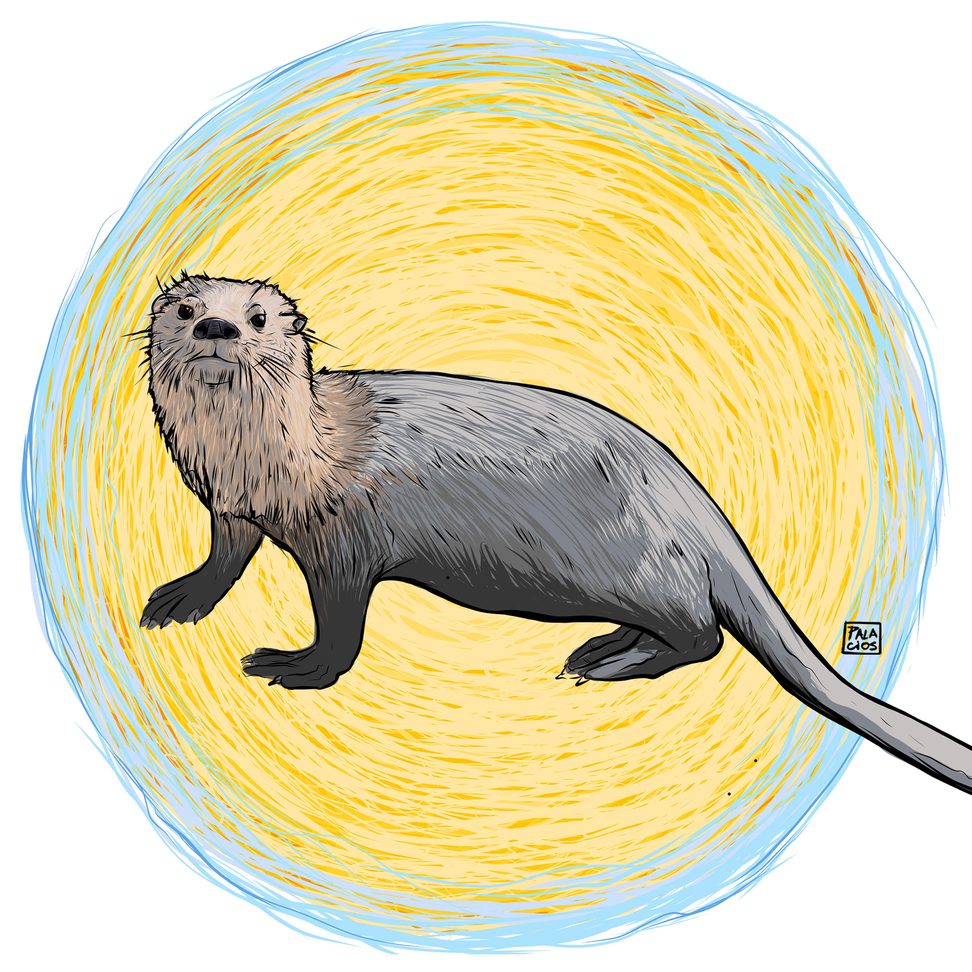 Fauna Nativa / Nutria