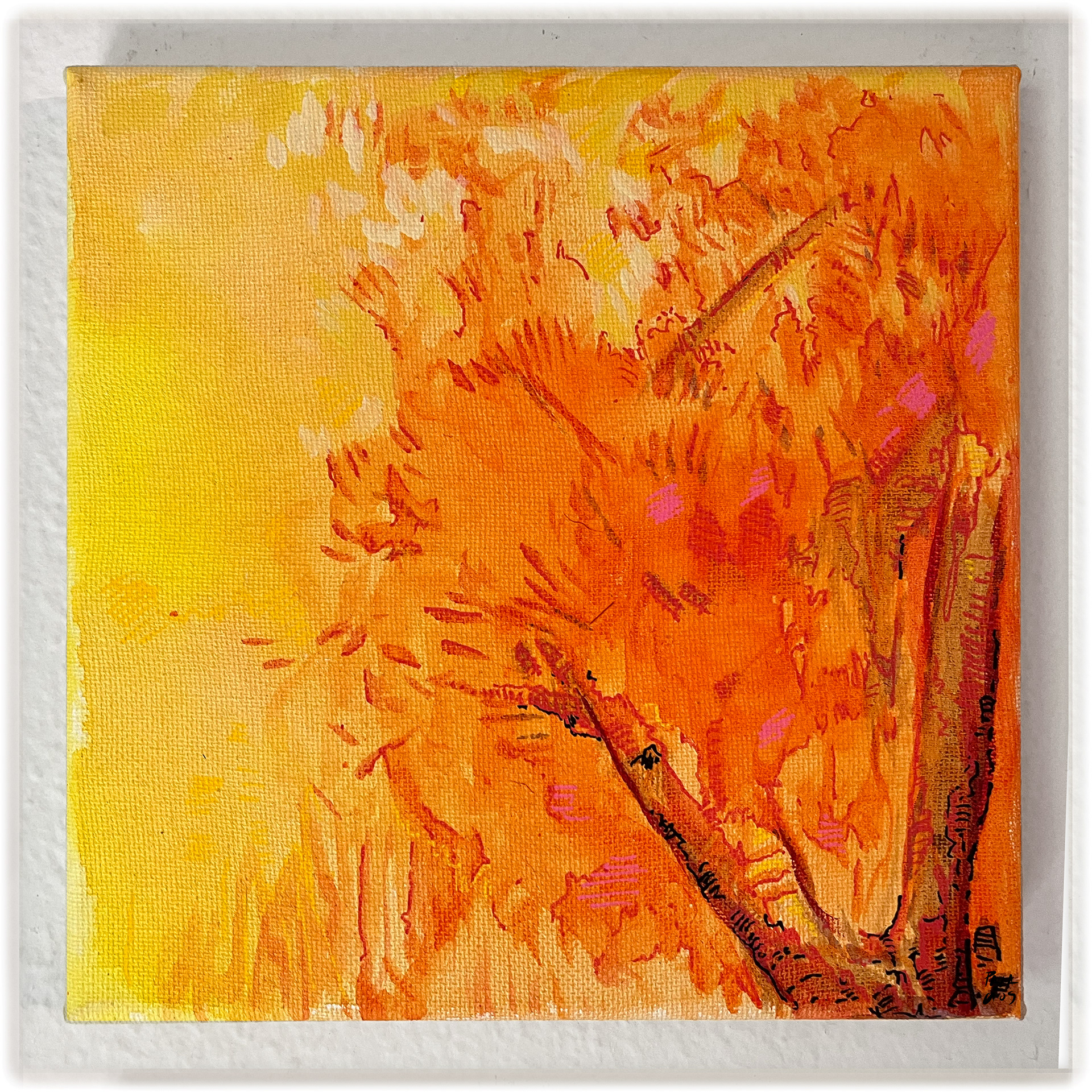 Acrilico sobre tela 20 x 20 cms
