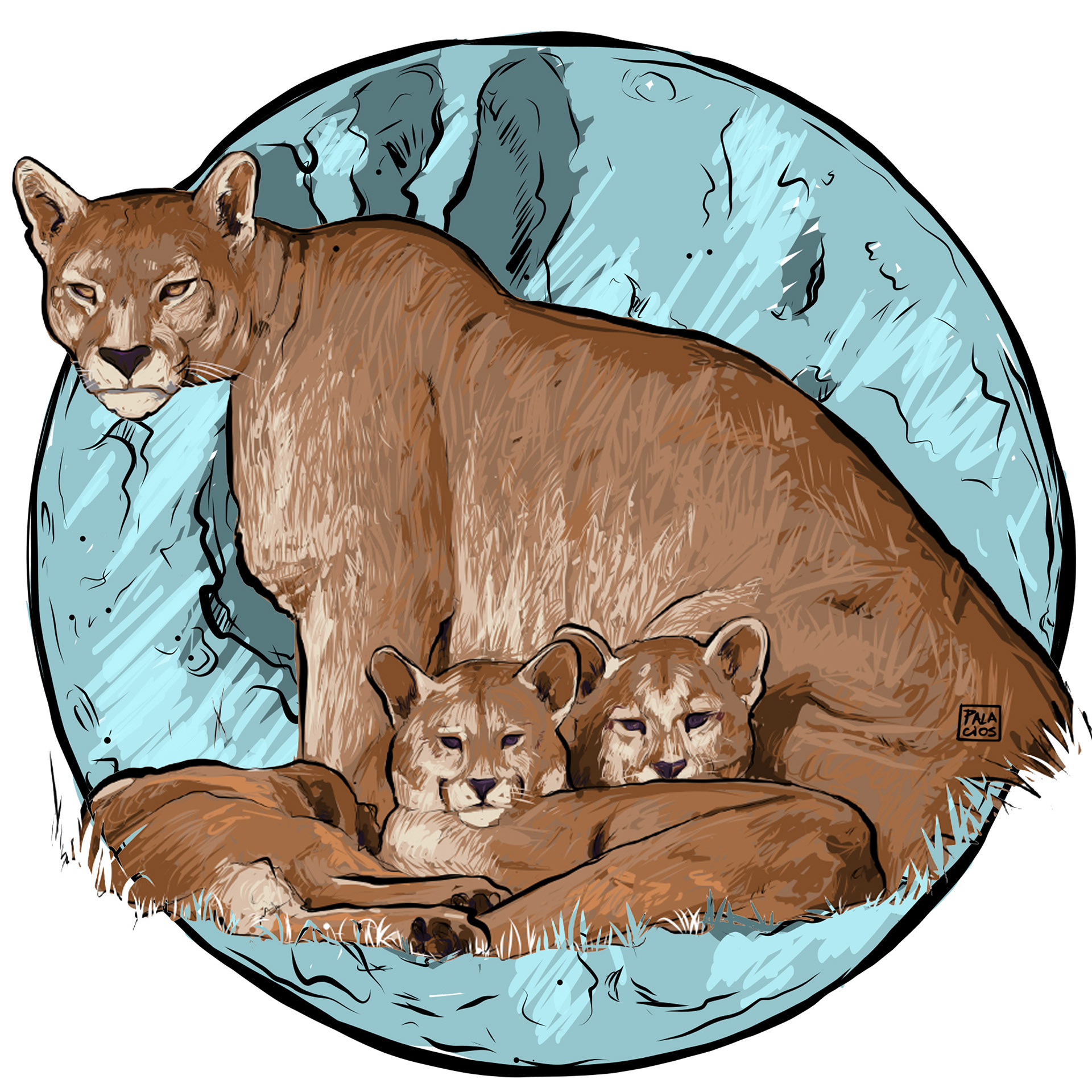 Fauna Nativa / Pumas