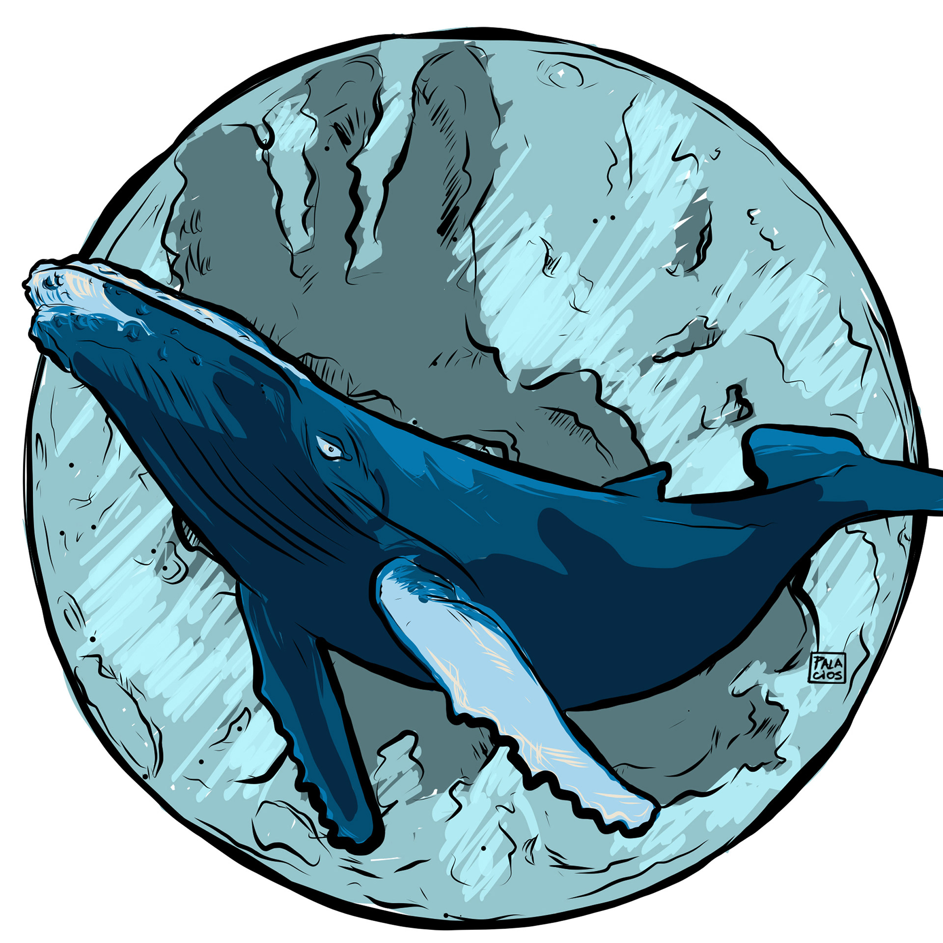 Fauna Nativa / Ballena