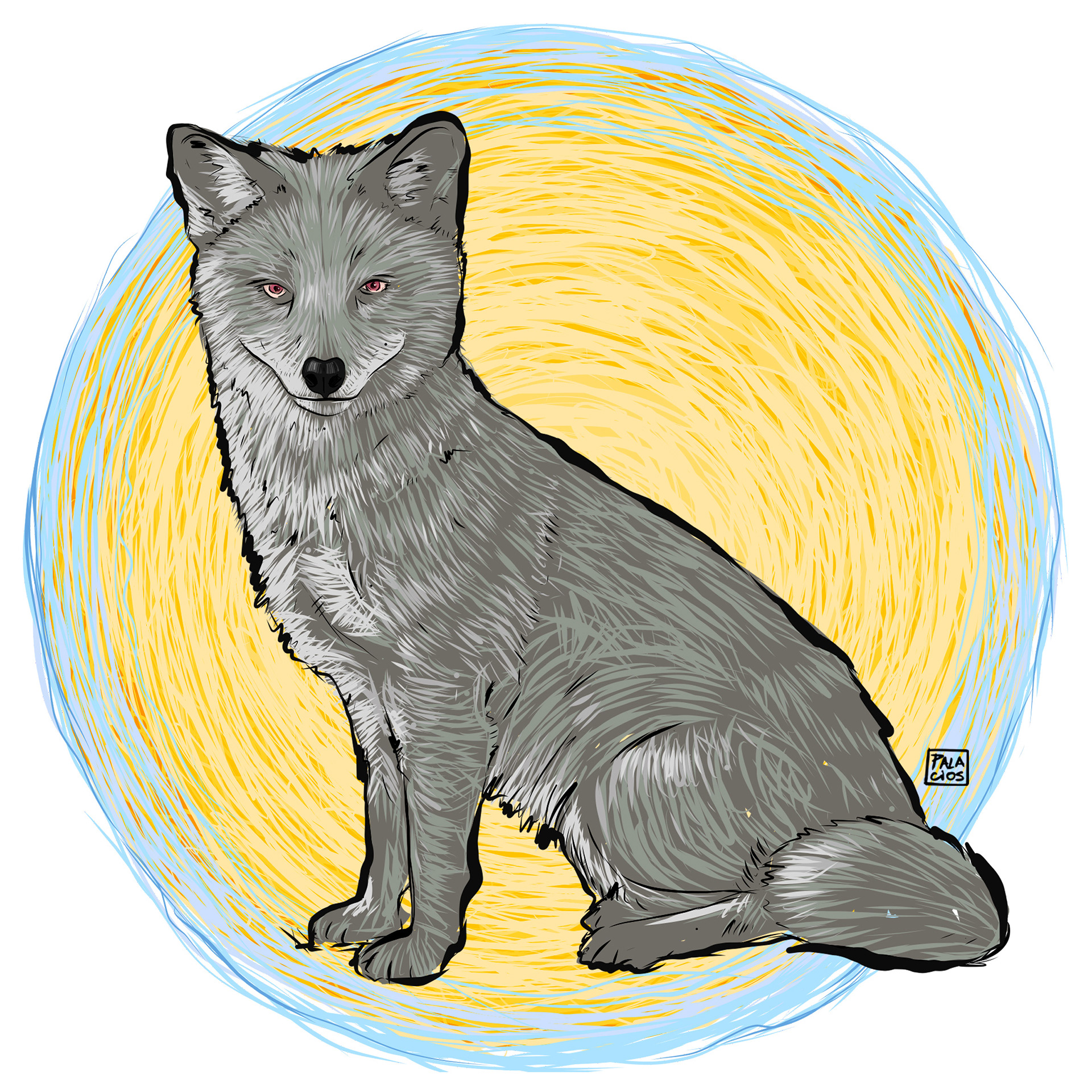 Fauna Nativa / Zorro