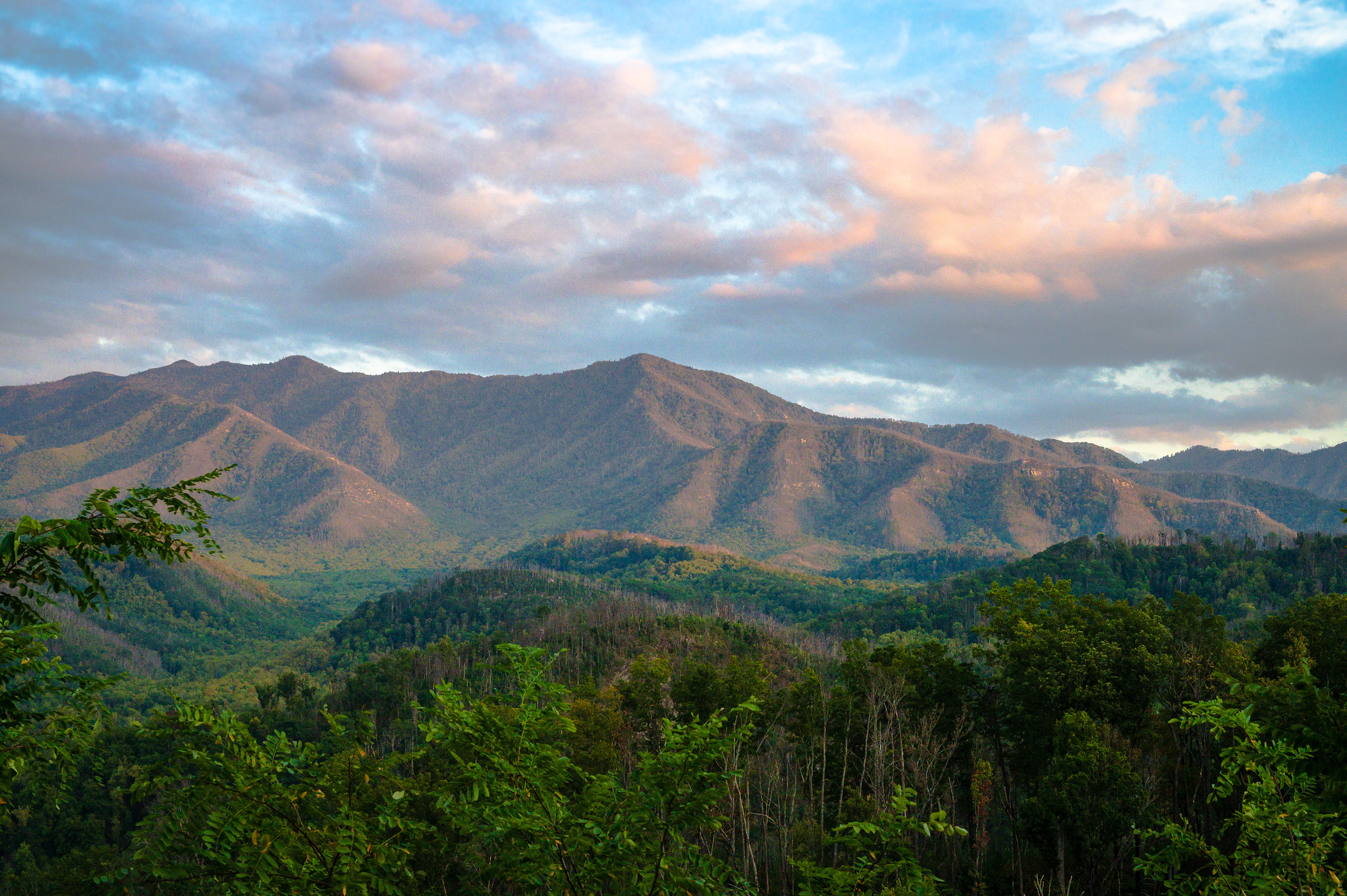 Mt Le Conte Gatlinburg, TN